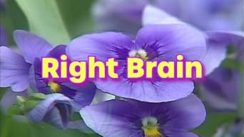 (未使用･未開封品)　Brainy Baby - Right Brain / Children [DVD] [Import] sdt40b8 Brainy Baby - Left Brain/Classical Tunes (DVD, 2003