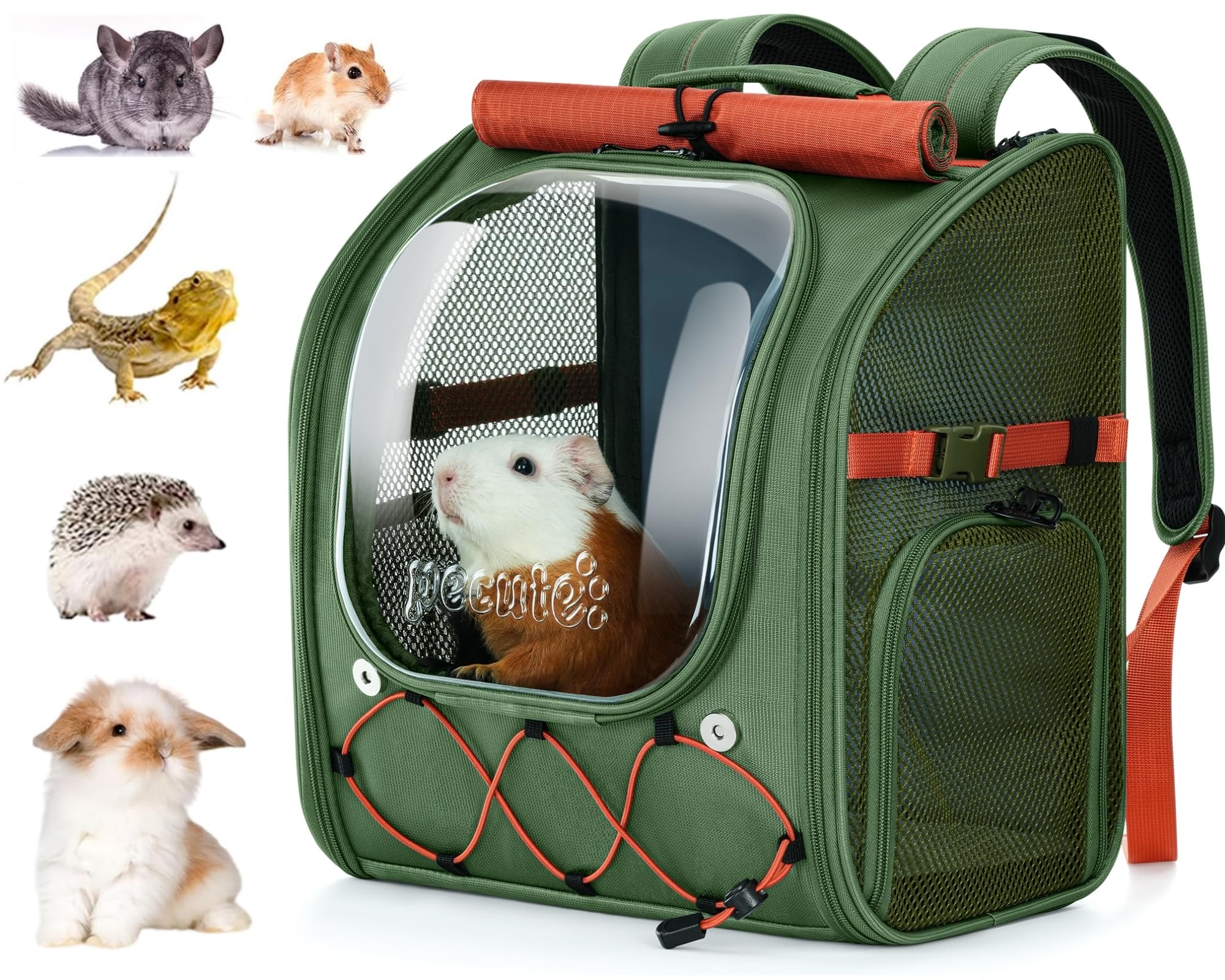 pecute small pet carrier, breathable guinea pig carrier with transparent bubble & steel frame, safety lock for hamster, rabbit, bearded dragon, lizard, ideal for hiking, vet visits, camping, green