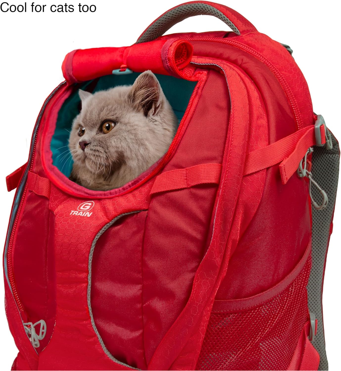 Kurgo G-Train Dog Carrier Backpack - Comfortable Travel Bag for Pets Up to 25 lbs - Waterproof Bottom - Multi-Compartment Pack - Dog Hiking Gear - Rugged Adventure Backpack - Ink Blue