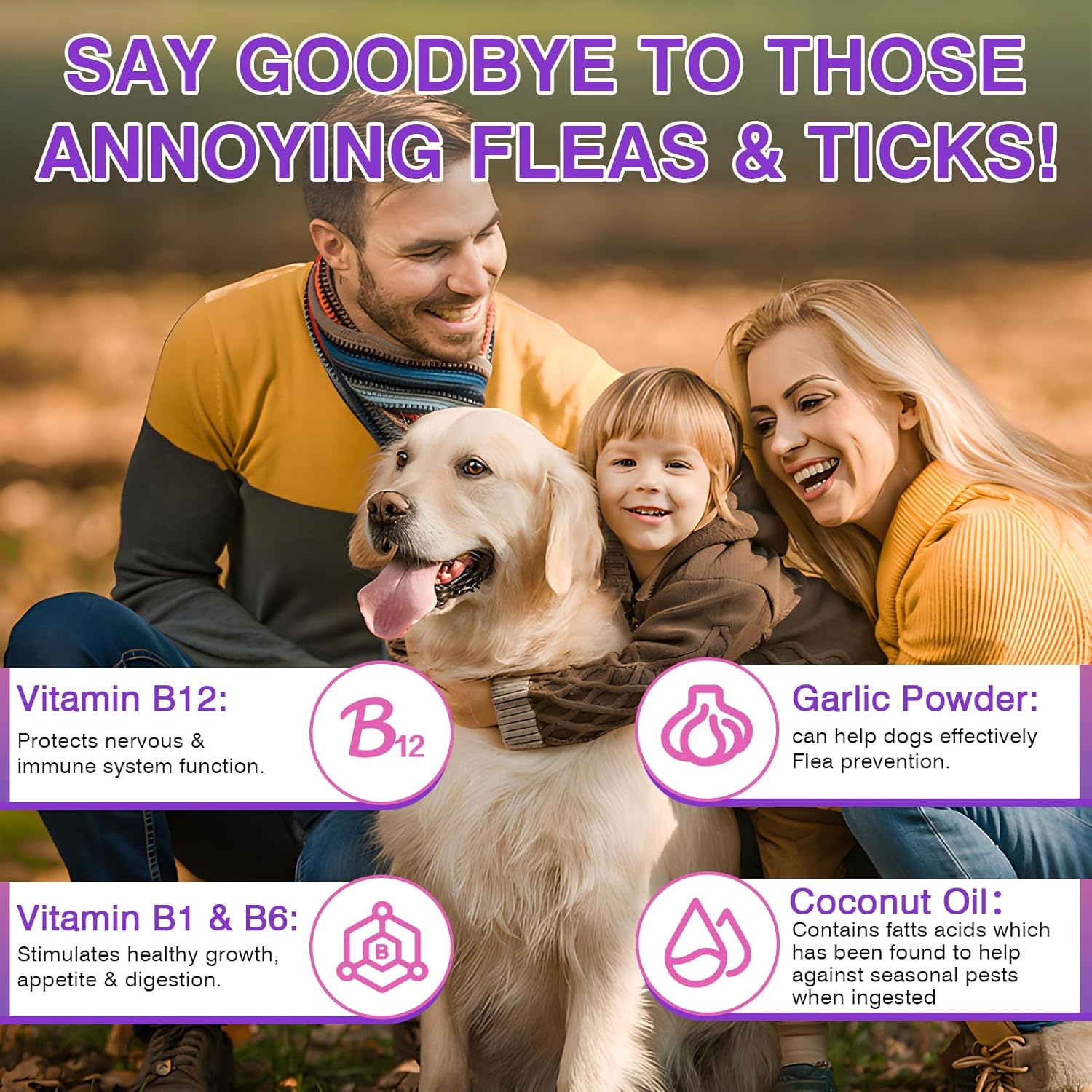 Dog Flea and Tick Chewable 200 Soft Chews Oral Formula Chicken Flavor for Dogs All Breeds Sizes Ages Soft Texture Easy Feeding Chewable Bites for Surface Discomfort Support