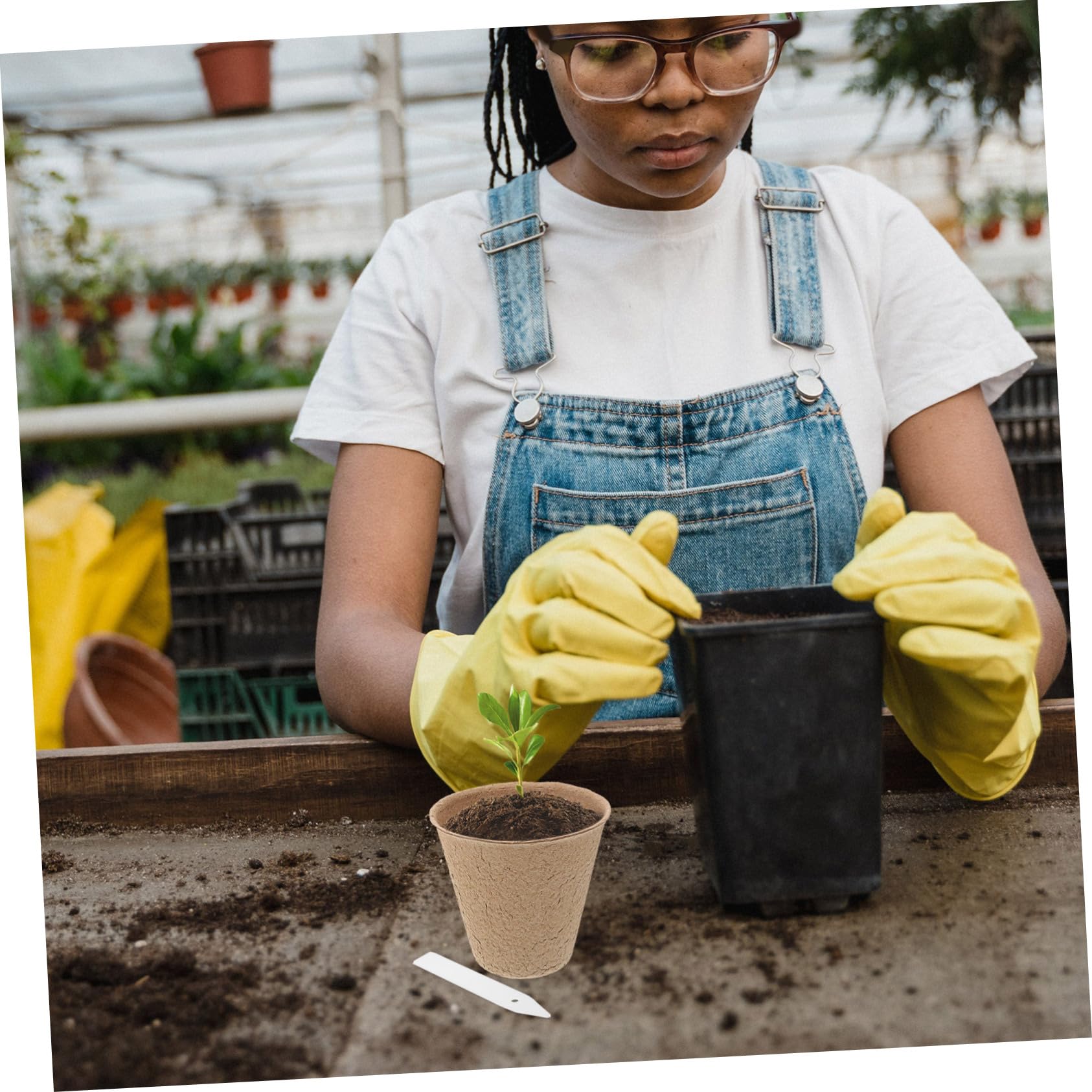 Toyvian Kit de 110 Pots de Tourbe pour Semis de Plantes, Jardinage Intérieur et Extérieur, Pots de Pépinière Compostables 10 Étiquettes, Taille Standard, Écologique,