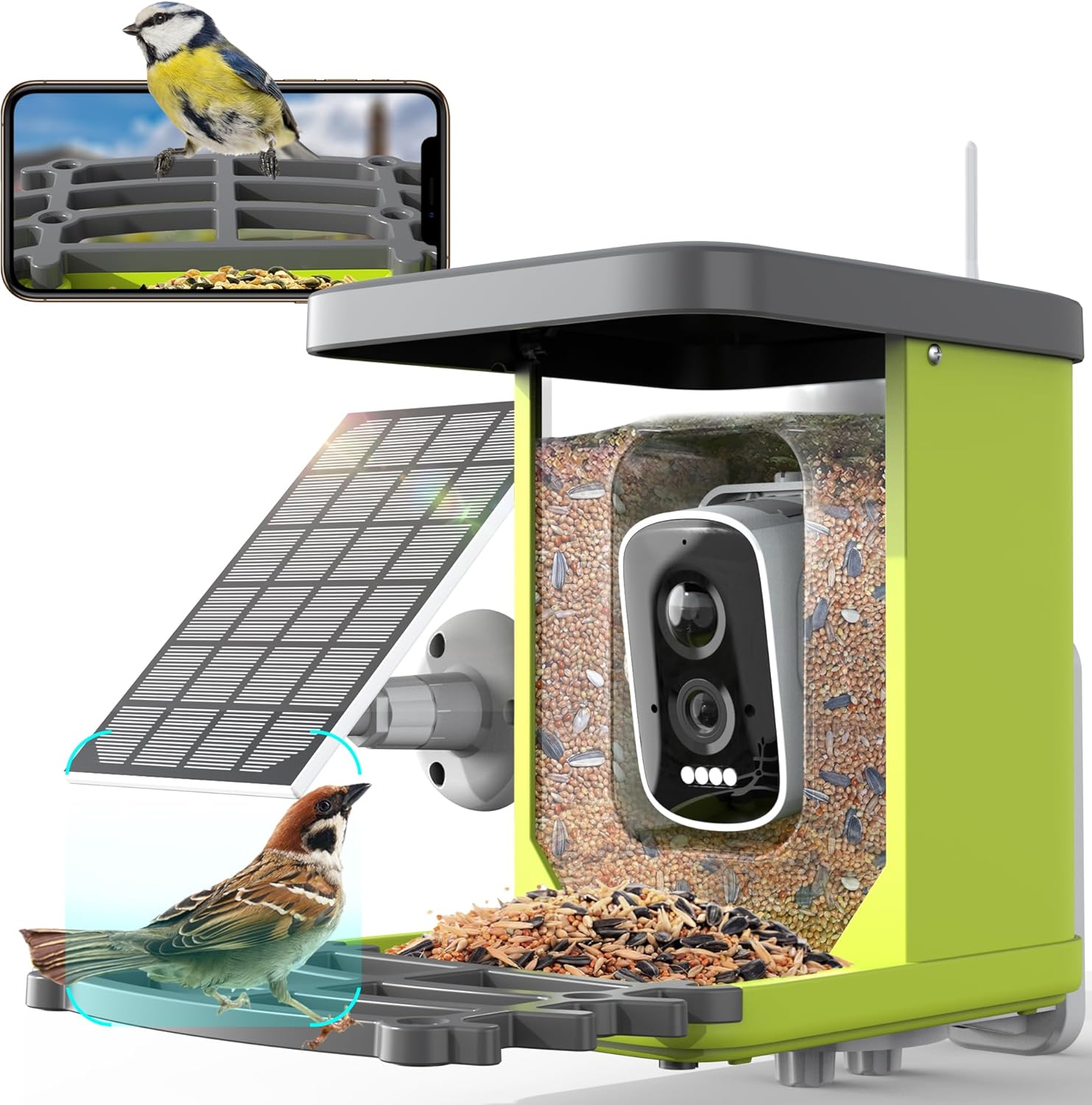 Amazon.com : |Smart Bird Feeder with Camera|Bird Camera with Solar ...