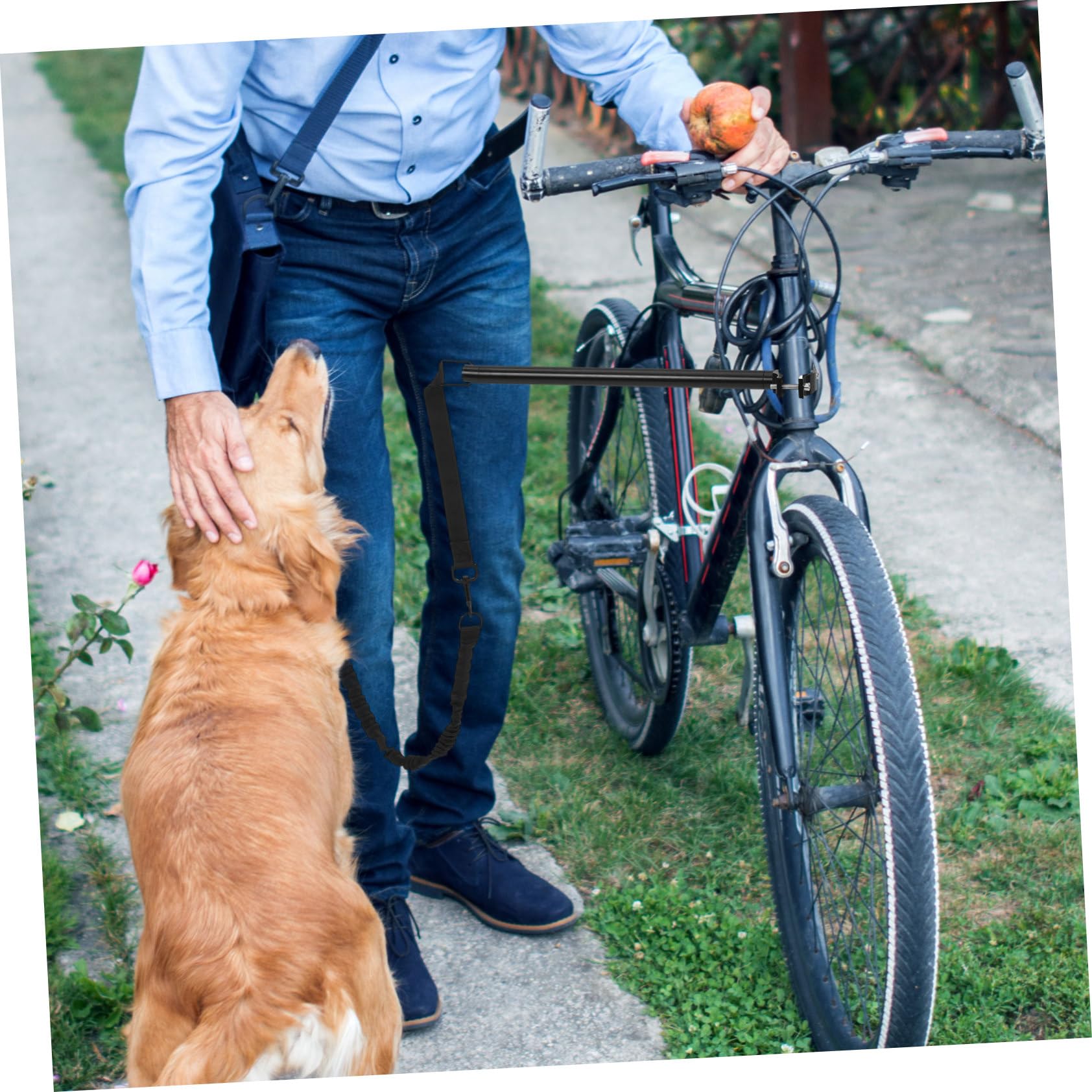 Levemolo Correa para Perros para Bicicleta Resistente y Duradera, Material de Tela Oxford y Aleación, Adecuado para Paseos y Entrenamiento de Perros Pequeños y Medianos