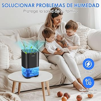 Foto del Deshumidificador
