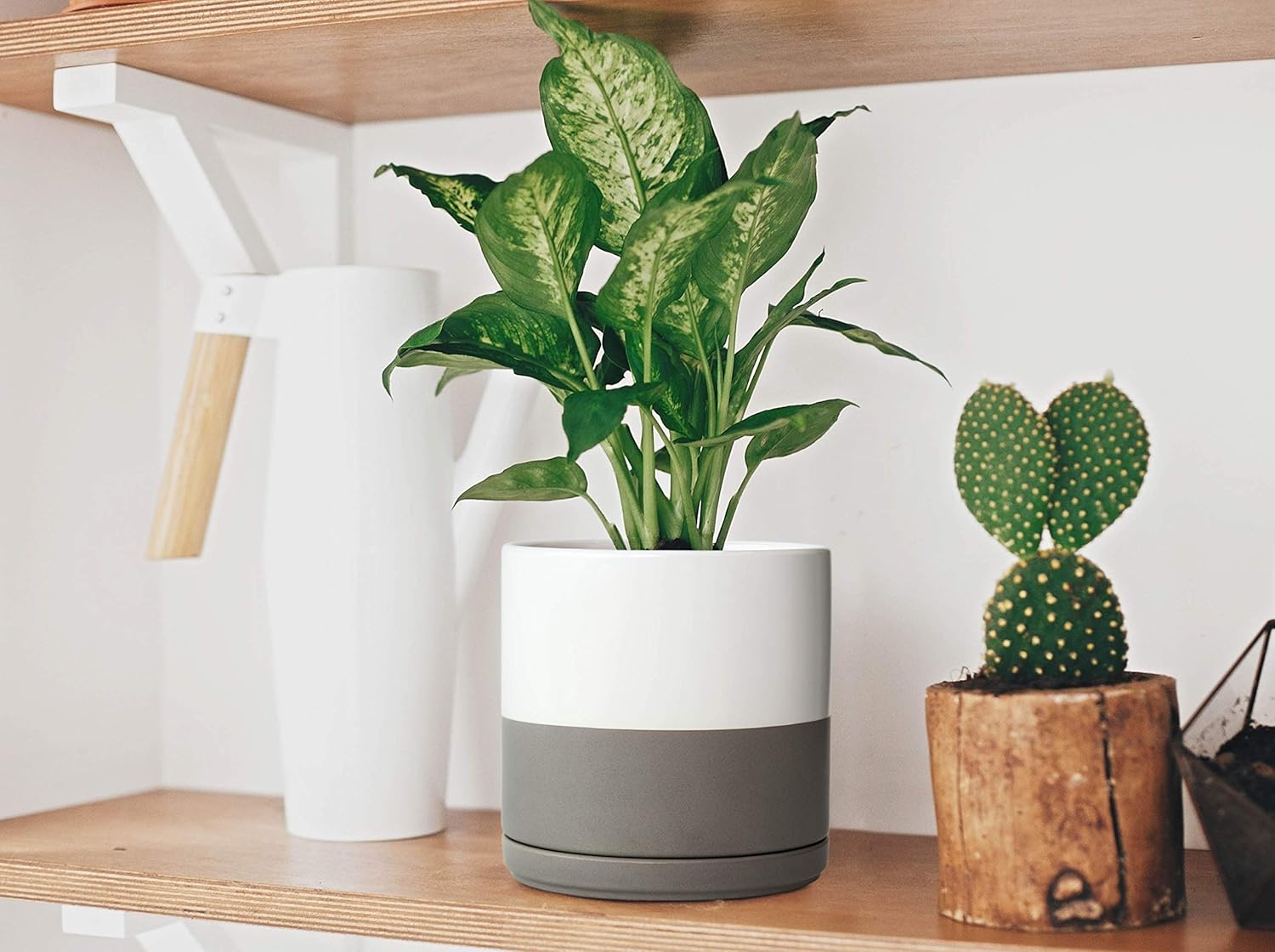D'vine Dev Ceramic Planter Pot with Drainage Hole and Saucer, Indoor Cylinder Round Planter Pot, 8 Inch, White/Speckled Grey, 94-O-M-6 : Patio, Lawn & Garden