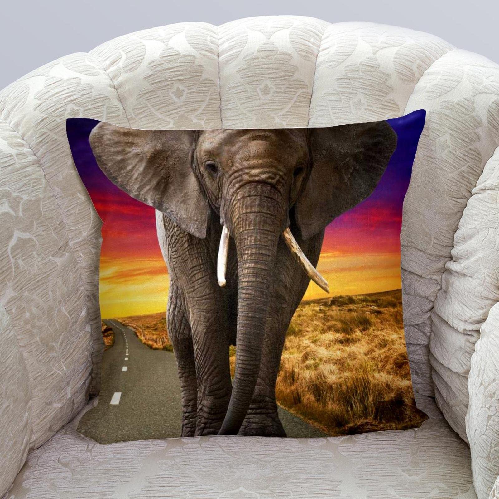 Funda de Almohada con Cierre de Cremallera Fundas de Almohada cuadradas para sofá, tamaño estándar<18x18in>,Animal de Elefante Africano