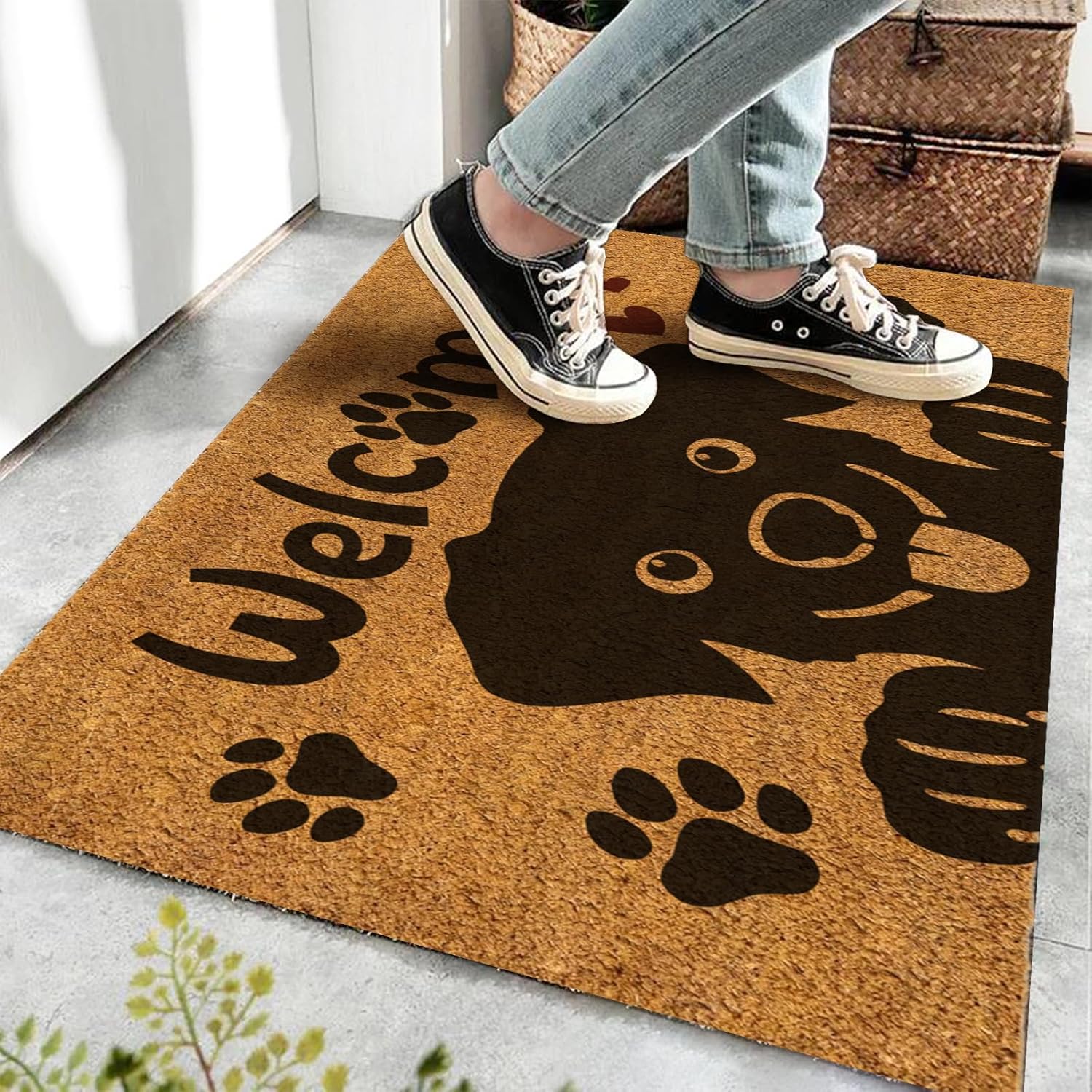 https://m.media-amazon.com/images/I/818GdFZbhvL._AC_SL1500_.jpg