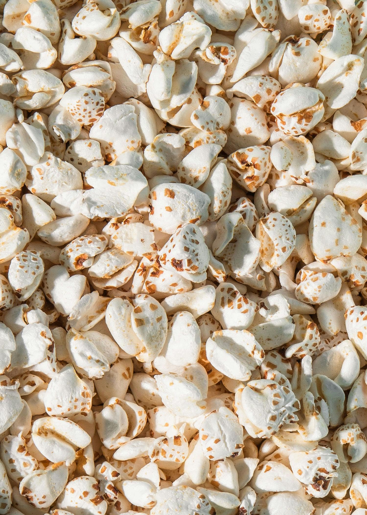 KoRo - Grano saraceno soffiato bio 6 x 350 g - Bio e vegan - Cereali da colazione - Nel latte o nello yogurt