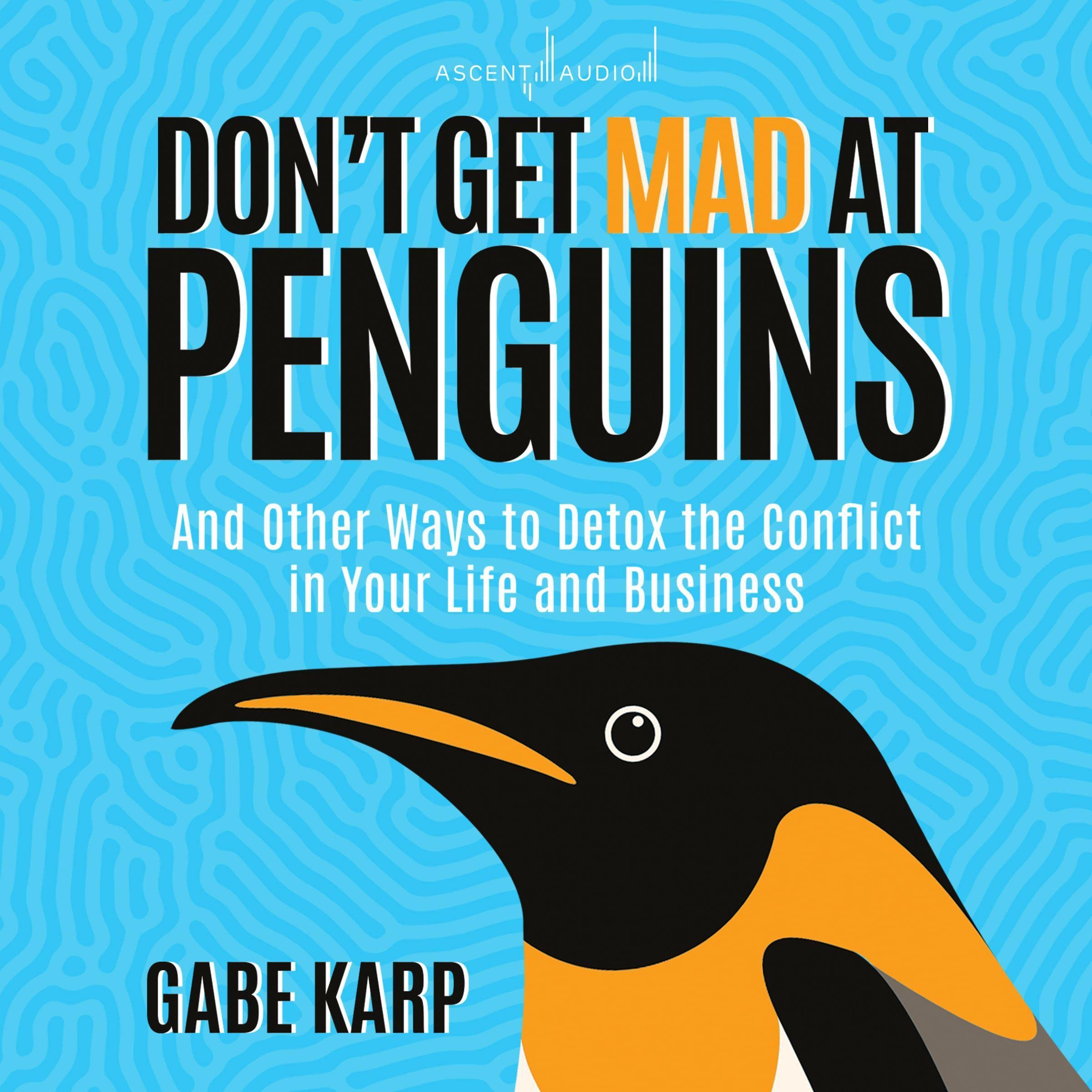 Cover art for Don't Get Mad At Penguins