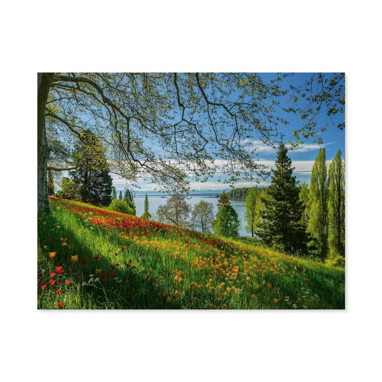 GSBRSNTS Paint by Numbers，Spring Avenue with Tulips in Bloom, Mainau Island，DIY Paint by Numbers Kits for Adults Kids,Canvas Oil Painting with Brushes and Acrylic Pigment (20x30cm-E84