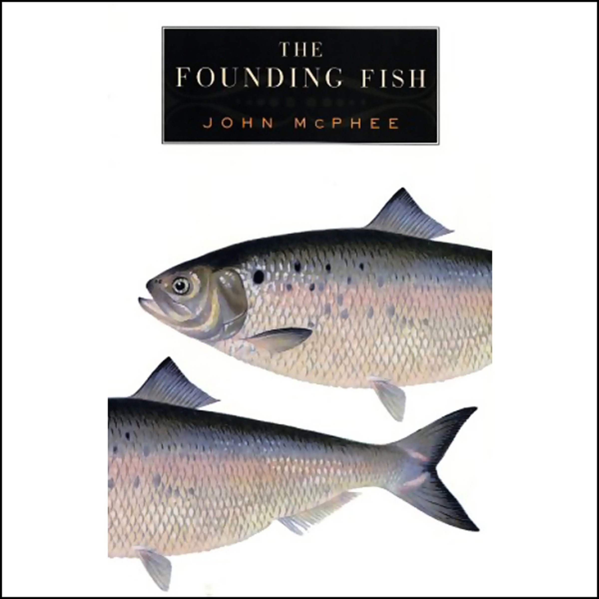 The Founding Fish