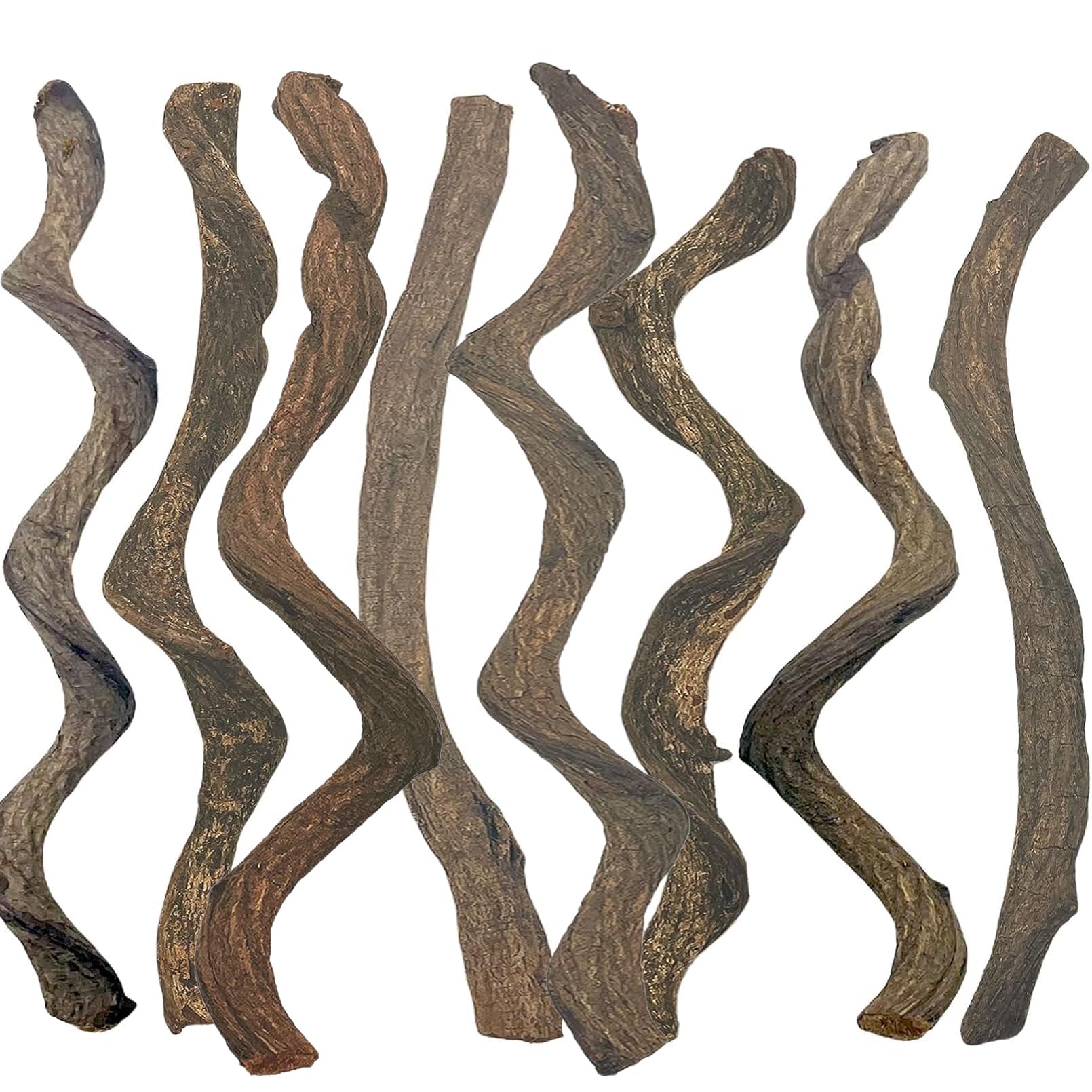 BNOSDM Reptile Forest Climbing Branch Decor Crested Gecko Climb Wood Natural Branches Tree for Snake Frog Chameleon Spider Bearded Dragon Terrarium Habitat Tank Accessories,8PCS