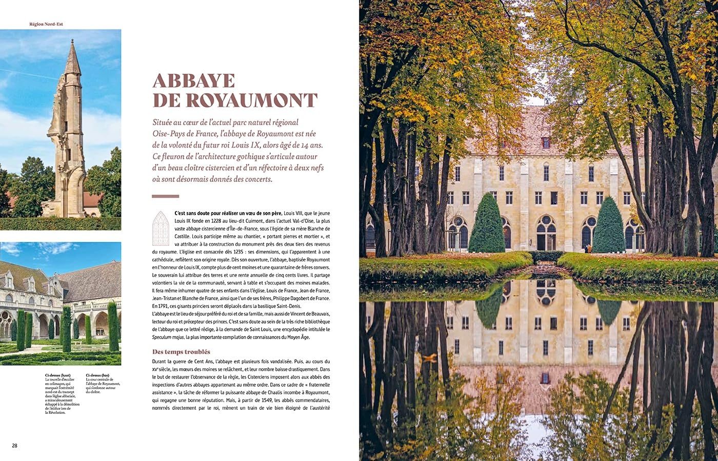 Au coeur des abbayes: Histoire et secrets des plus beaux monastères de France