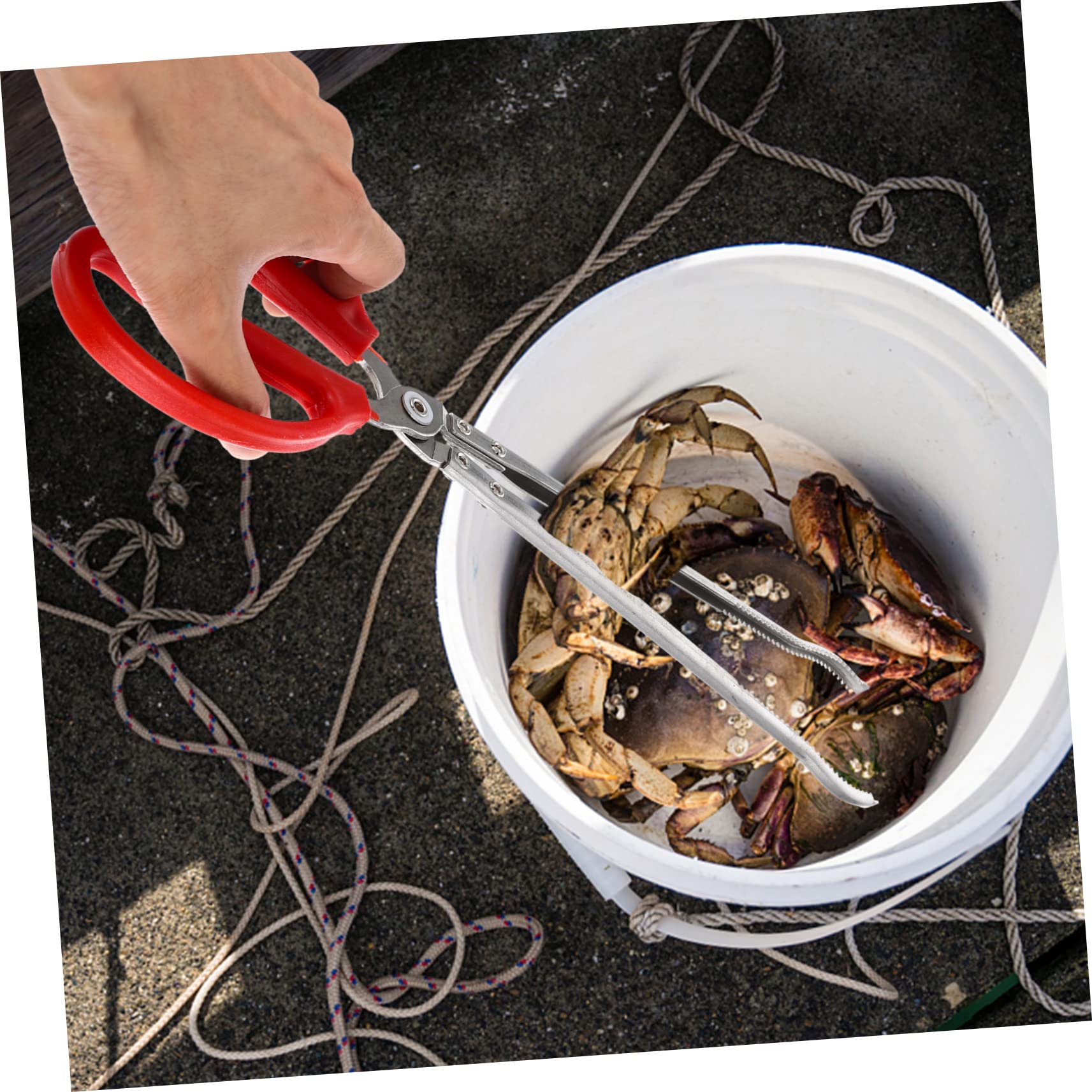Tragbare Fischzange aus Edelstahl und Abs Leichte Lange Multifunktionsclip für Grill und Outdoor Praktisches Anglerzubehör zum Greifen von Fisch und Krabben