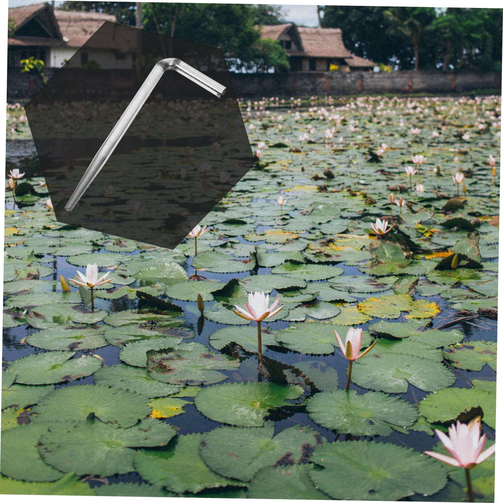 HANABASS Tête D’arrosage pour Pulvérisateur D’eau Tête de Remplacement en Acier Inoxydable Haute Pression pour Récolte de Lotus
