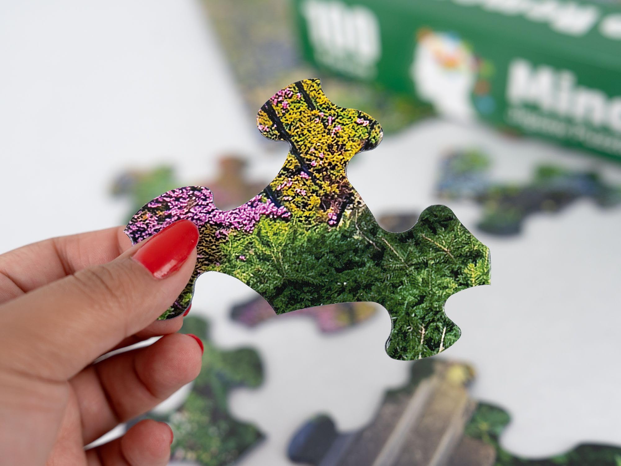 Amazon.com: Springbok's Garden Stairway 100 Piece Therapy Puzzles