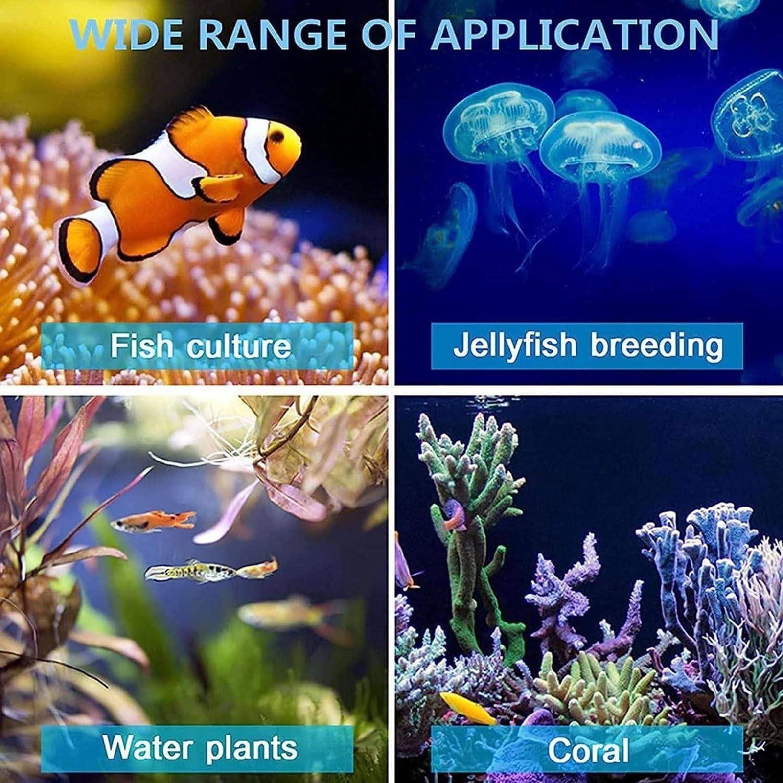 Aquarium-Kühler und Heizung, 30/45 l, kleiner Aquarium-Wasseraufbereiter mit 3–35 ℃ einstellbarer Temperatur und LCD-Display für Süßwasser- und Meeresfrüchte-Anbau