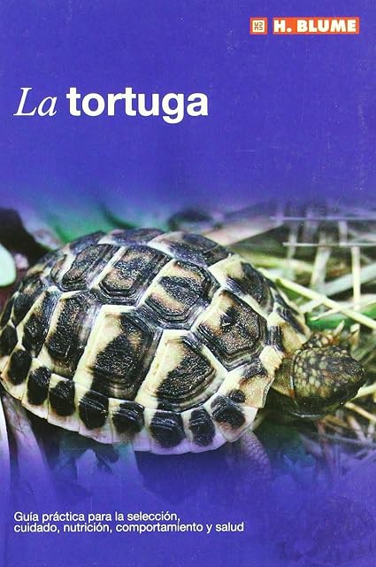 Portada de La tortuga