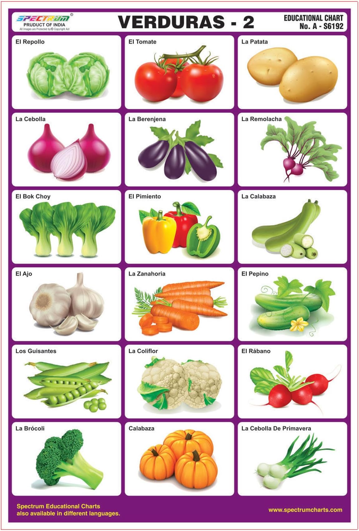 Spectrum Spanish Language Vegetables-2 Educational Laminated Kids Learning Wall Chart