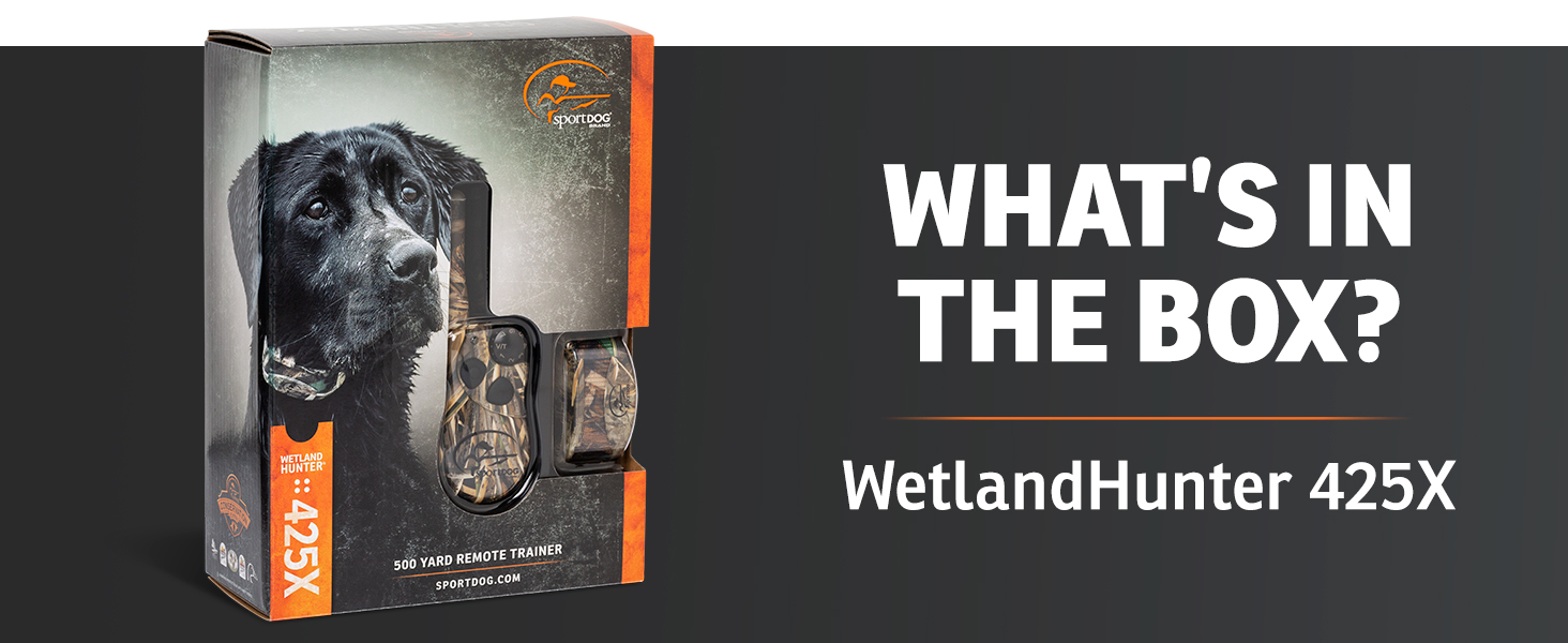 Field Trainer Sportdog Collar Not Shocking Sport Dog Training