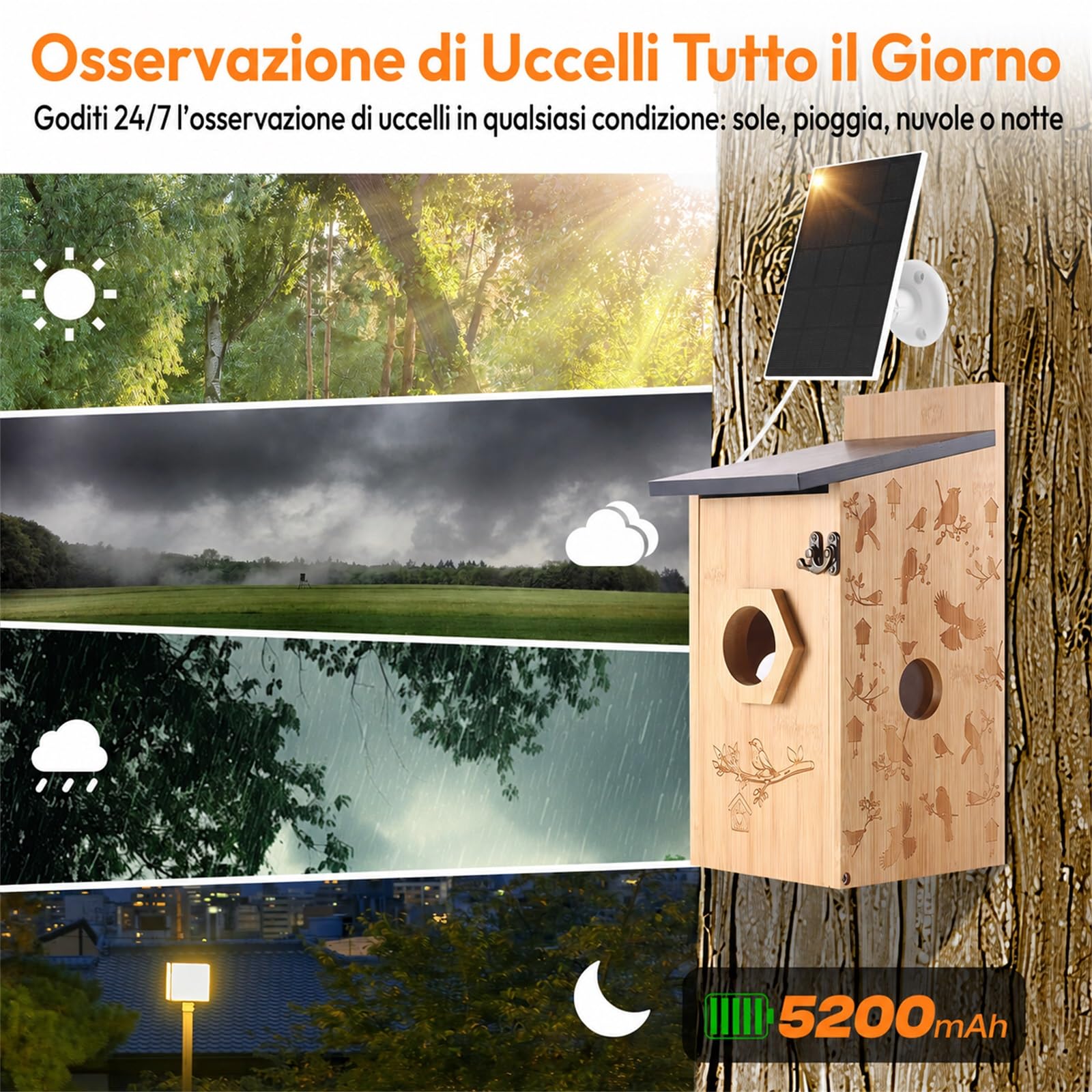 Casetta per Uccelli con Fotocamera Solare 5MP, Contenitore per Uccelli per Esterni, 2,4G WiFi e Notifica APP, Registrazione Video/Foto e Rilevamento del Movimento, Osservare la Vita Degli Uccelli, B