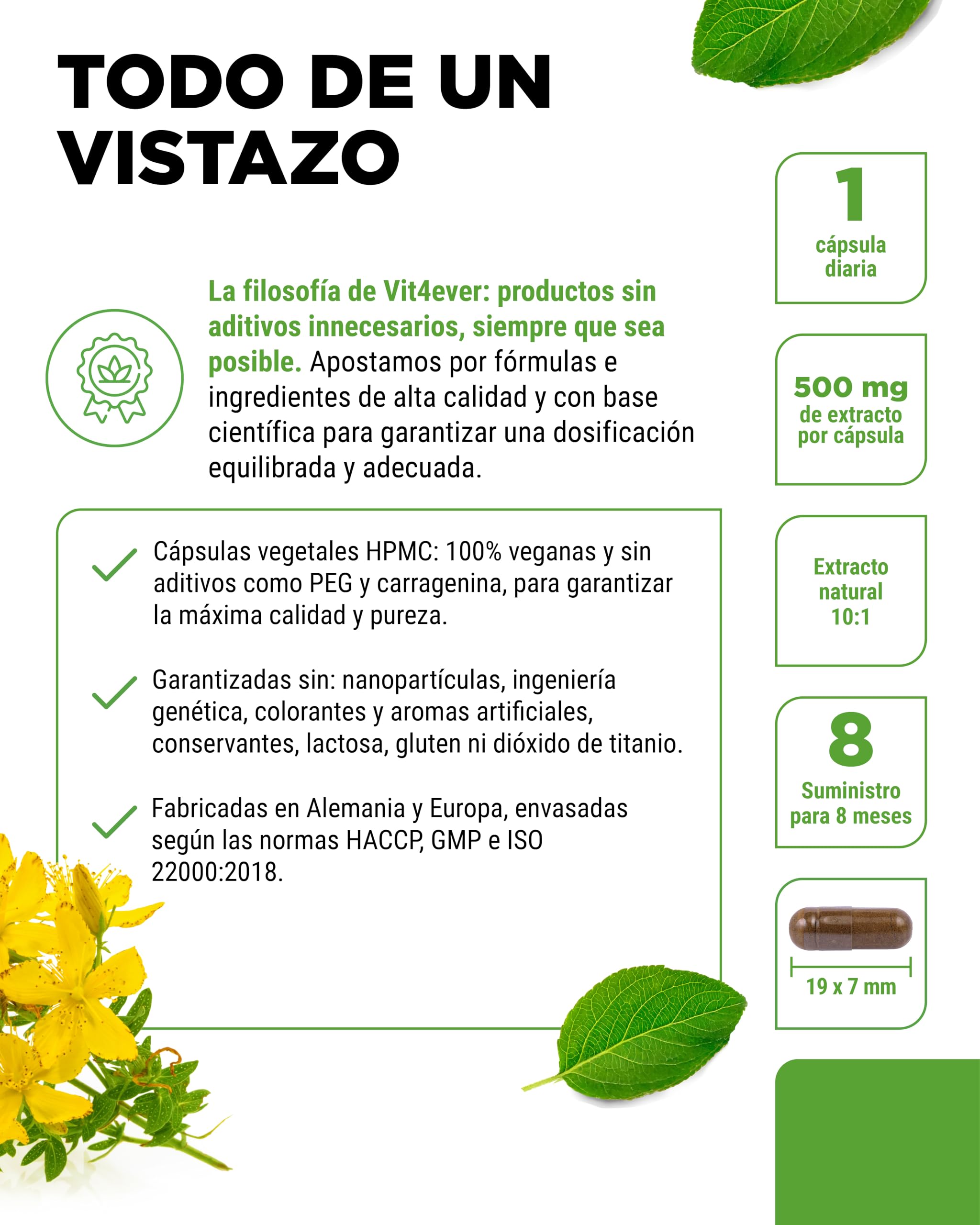 Hierba de San Juan -240 cápsulas con 500 mg de extracto de 5000 mg de Hierba de San Juan pura - Extracto natural 10:1 - Dosis alta - Vegano