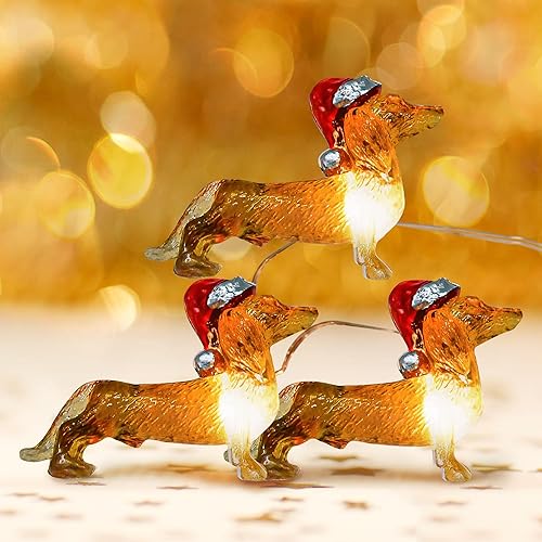Guirnalda de luces para perro Dachshund, 30 luces LED parpadeantes de perro para mascotas, USB y pilas, luces de Navidad con temporizador remoto
