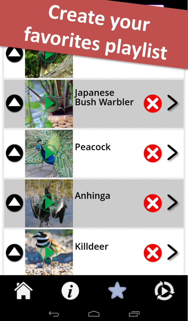 Real Bird Sounds App on Amazon Appstore