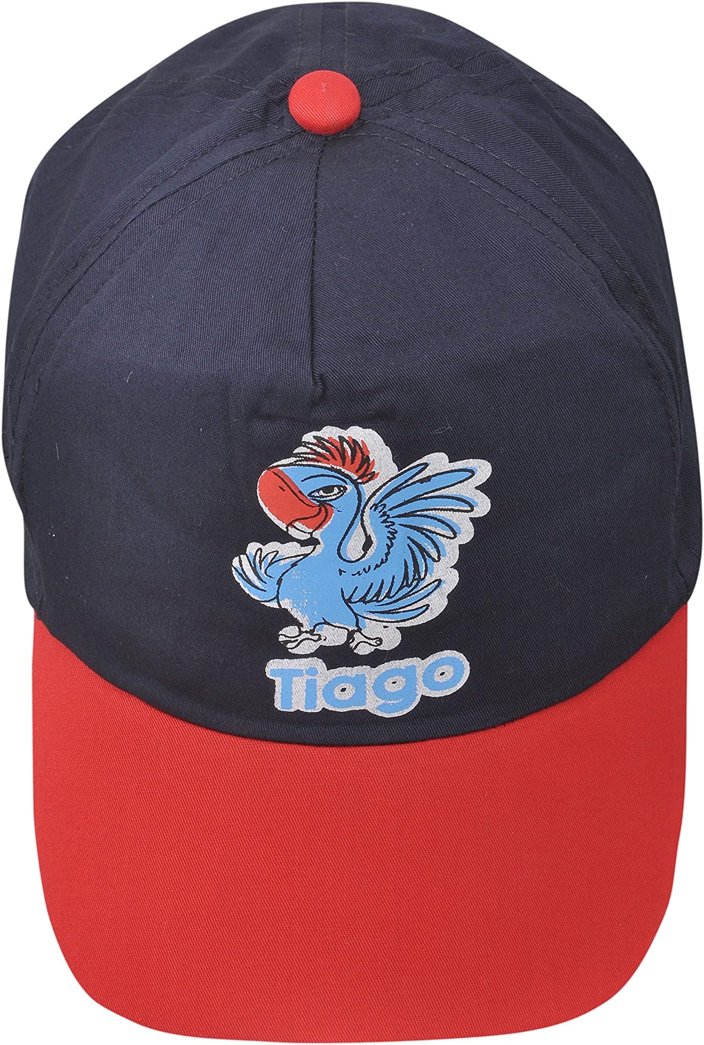 Fab infinity Boy's Cap (FII-129_Multicolour_3 Years-8 Years)