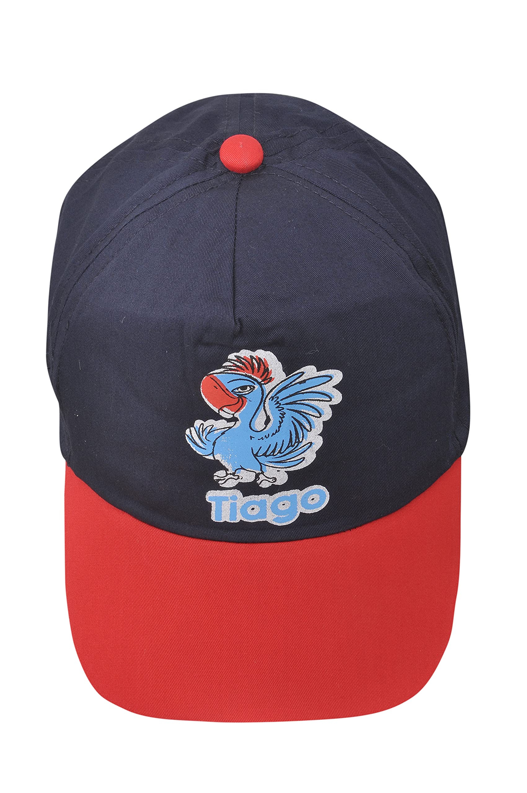 Fab infinity Boy's Cap (FII-129_Multicolour_3 Years-8 Years)