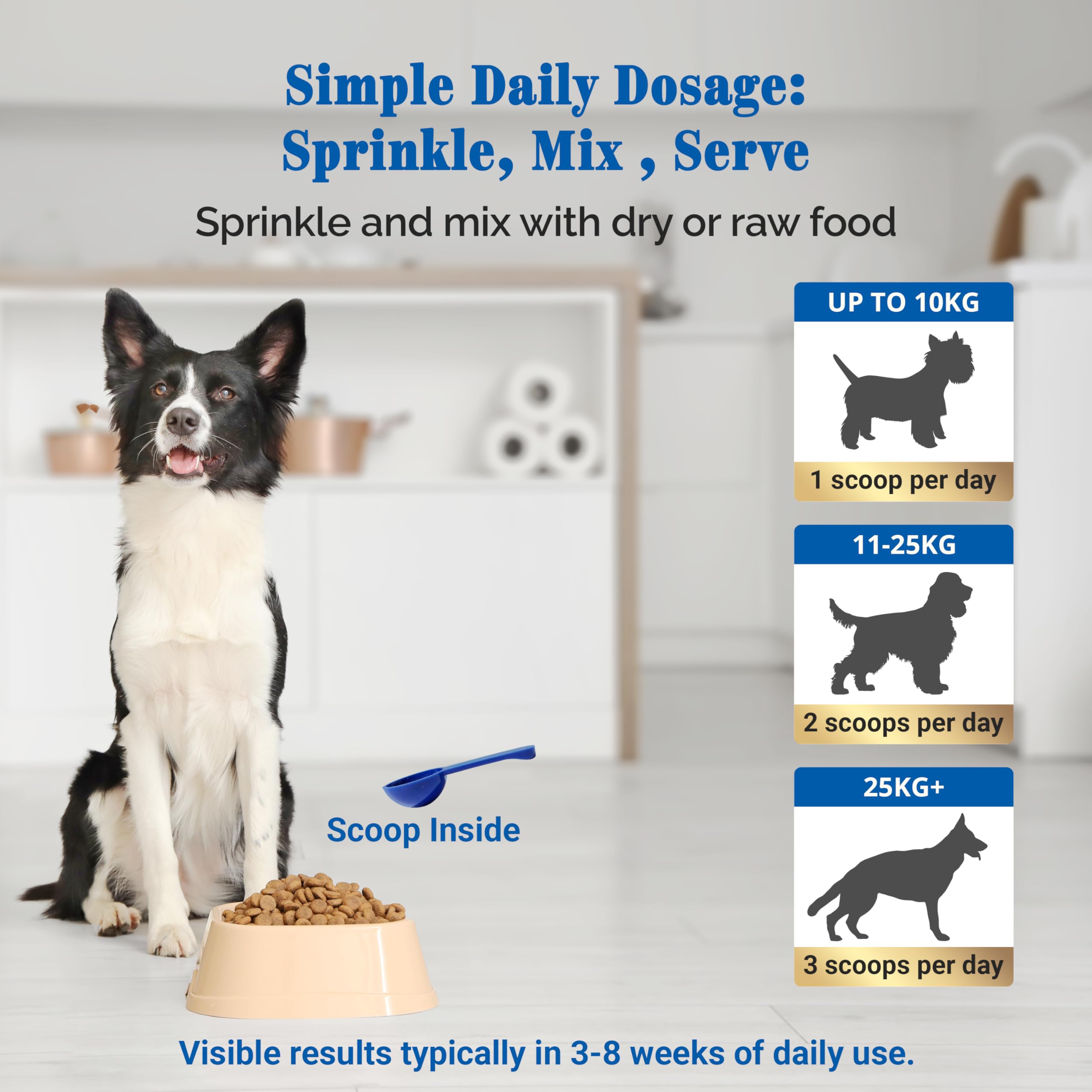 EQ K9 Plaque Off Powder for Dogs, Natural Plaque & Tartar Remover with Seaweed, Enzymes, Activated Charcoal & Zinc - Image 4