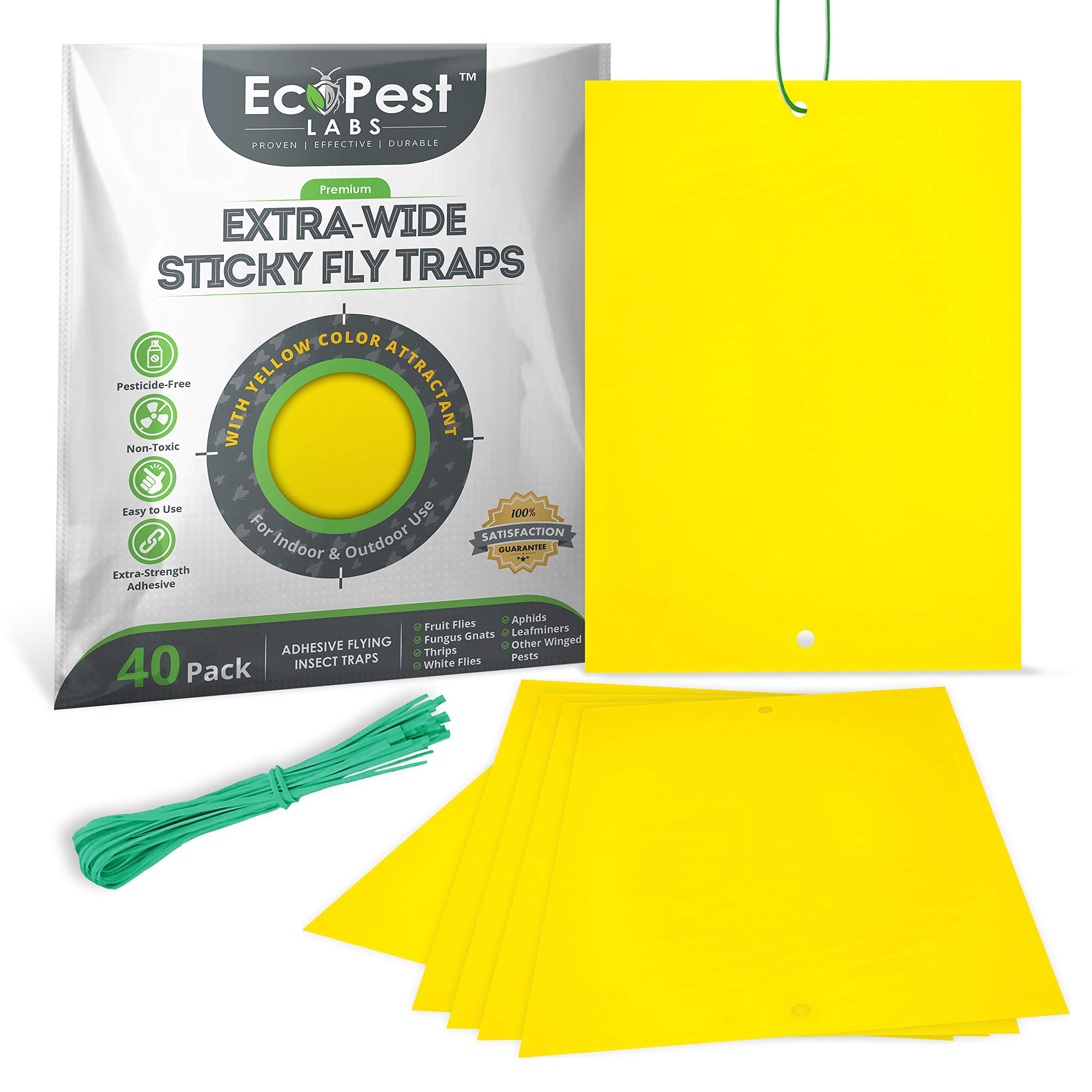 Buy Sticky Fruit Fly and Gnat Traps 40 Pack (ExtraWide) Yellow Fly