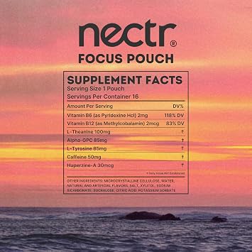 Nectr Focus+ Nootropic Pouches - 320mg Synergistic Nootropic Stack - Nicotine-Free, Sugar-Free Cognitive Pouches - Fresh Mint- 5 Count