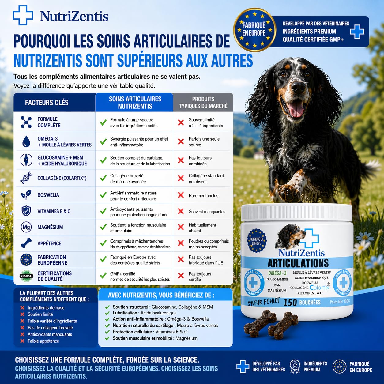Articulation Chien 300 Bouchées Anti Inflammatoire Chien Glucosamine Chondroïtine MSM Collagène Colartix® Omega 3 Poudre de Moule Verte | Fabriqué en Europe | 300 Bouchées au Poulet