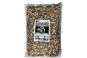 Squirrel-Friendly Backyard Delight: Squirrel & Friends Wildlife Chipmunk Food Mix