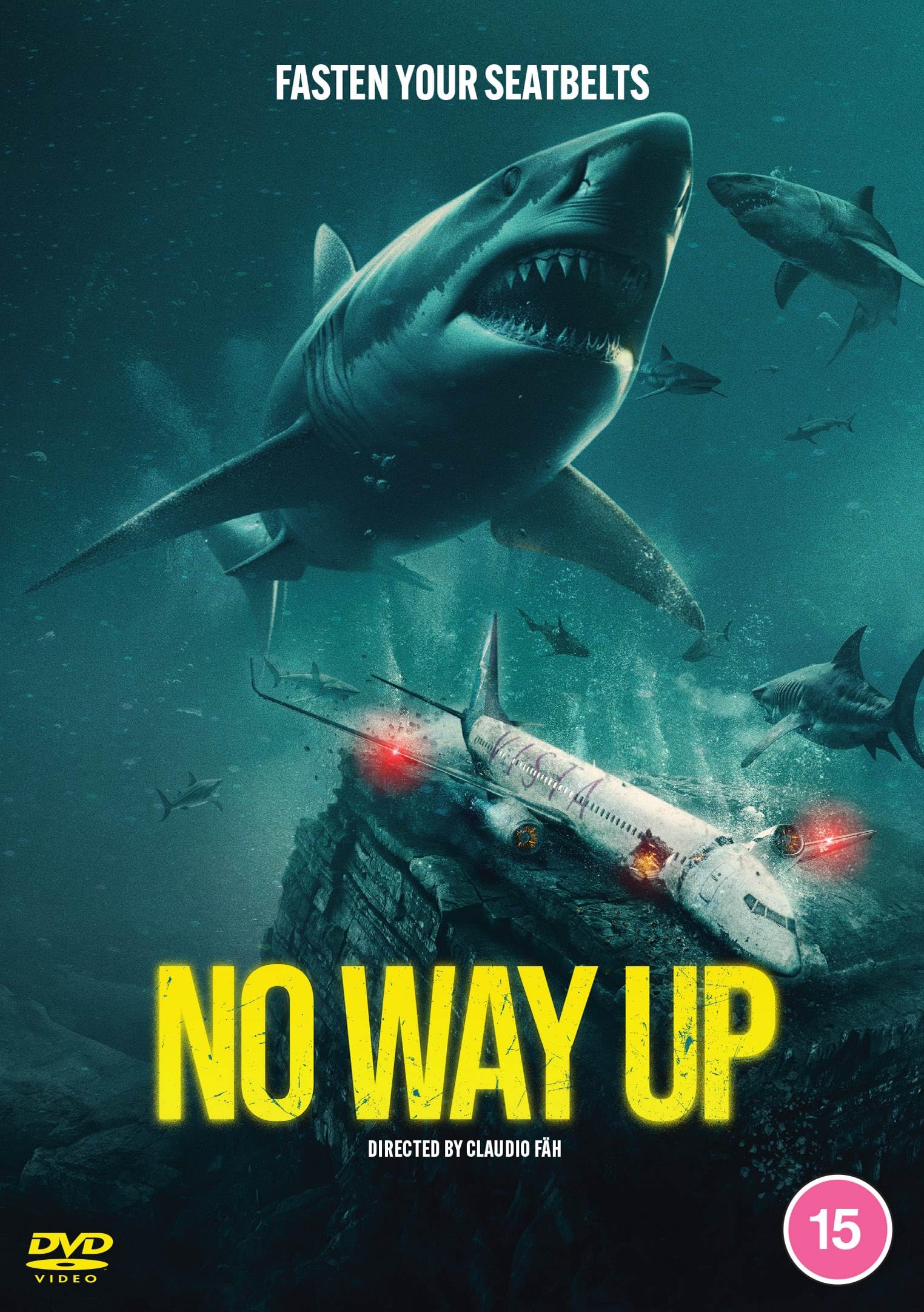 No Way Up [15] DVD