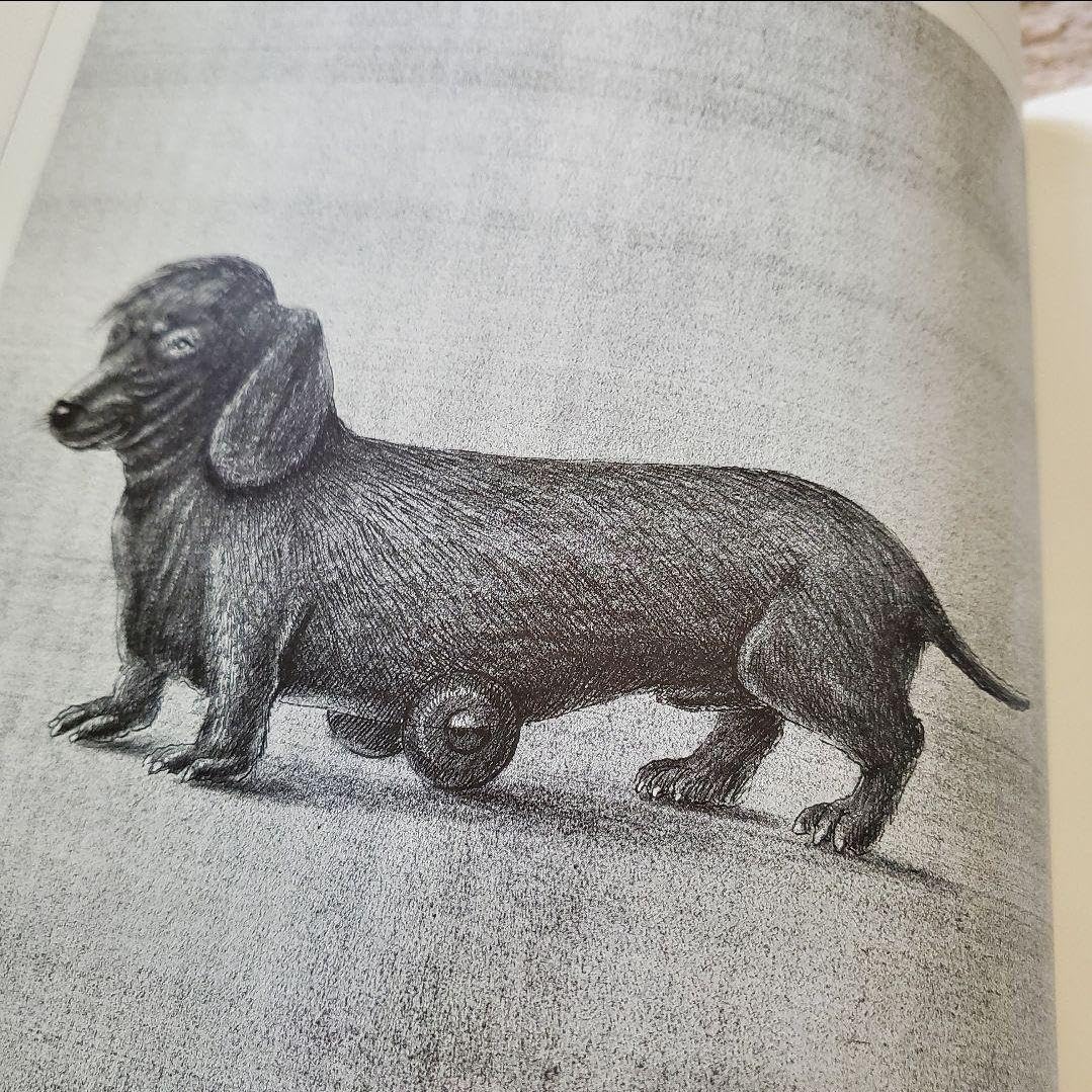 珍化論　村瀬雅徳　ムラマサ流　動物画集　本　画集　イラスト　アート　サイン入り 珍化論 村瀬雅徳 ムラマサ流 動物画集 本 画集 イラスト アート