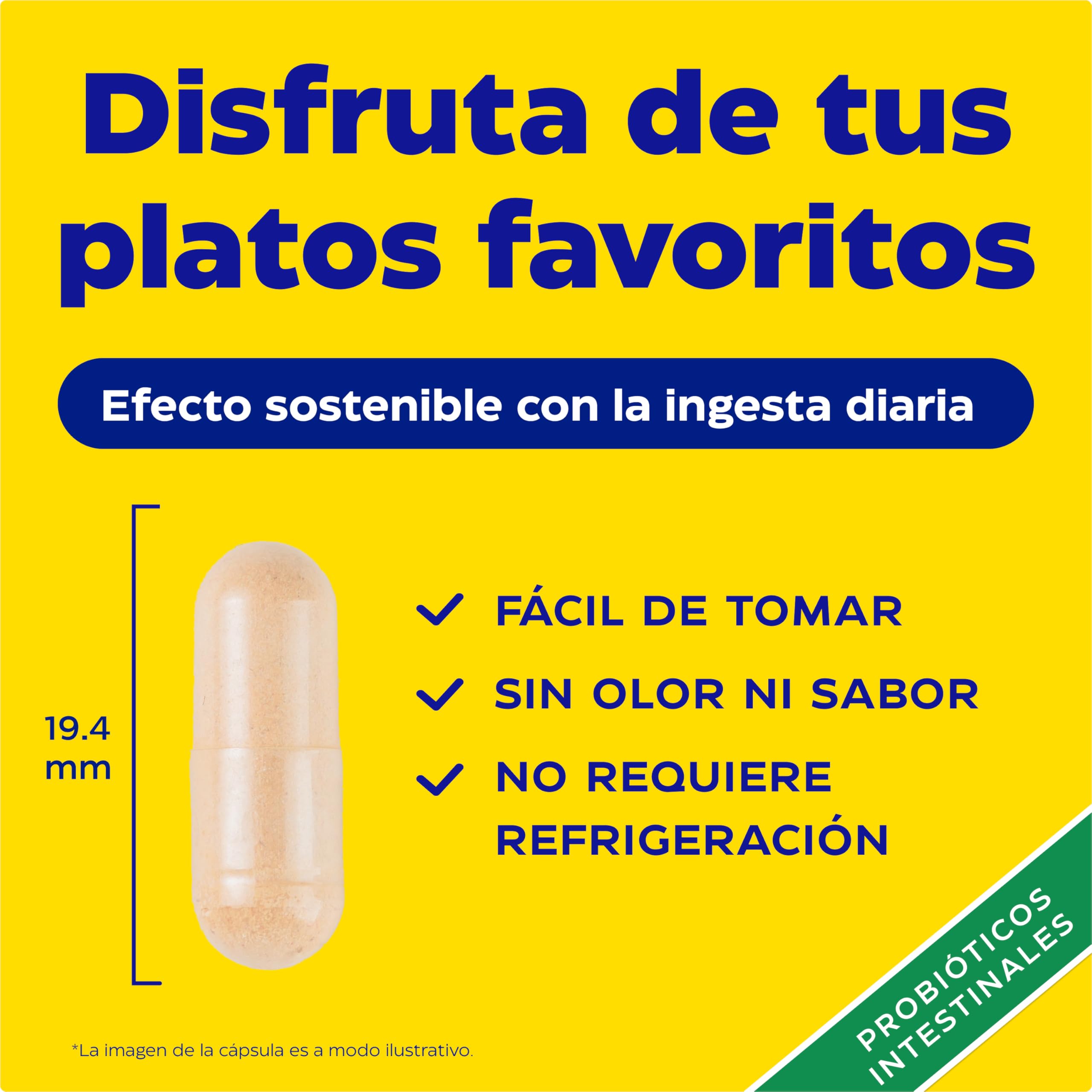 Enzymedica, Pro-Bio, Para un Intestino Sano, Aumenta la Digestión y la Regularidad, Reduce la Hinchazón y los Gases, Con 15 Mil Millones de UFC, Sin Gluten, 90 Cápsulas