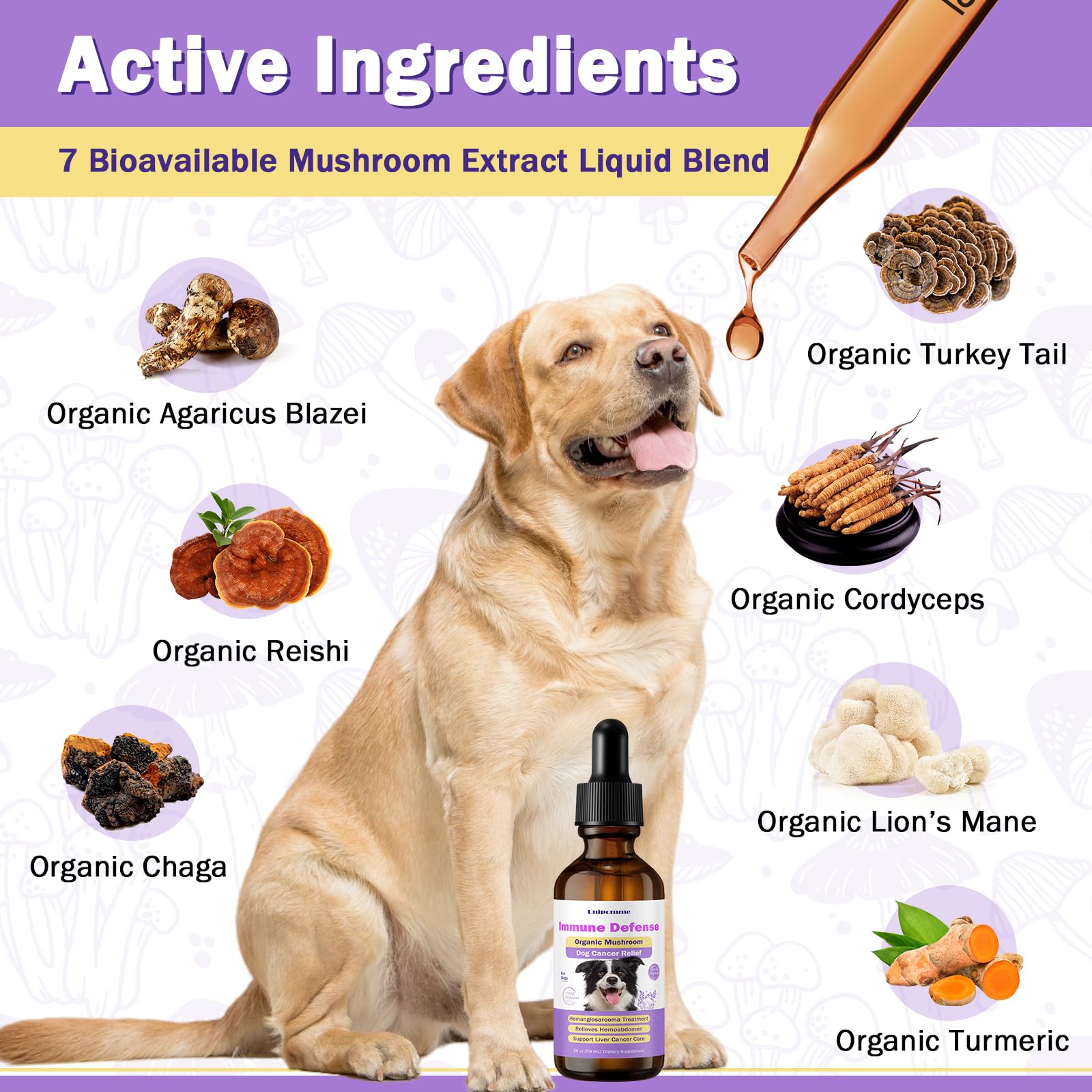 glutathione for dogs with cancer Amazon.com : Dog Cancer Supplements - Pet Critical Guard - Defense Immune  Support, Cellular Health, Antioxidants with Turkey Tail Mushroom