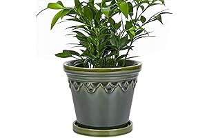 Greenaholics 6.3" Ceramic Plant Pot with Drainage and Saucer in Olive Green