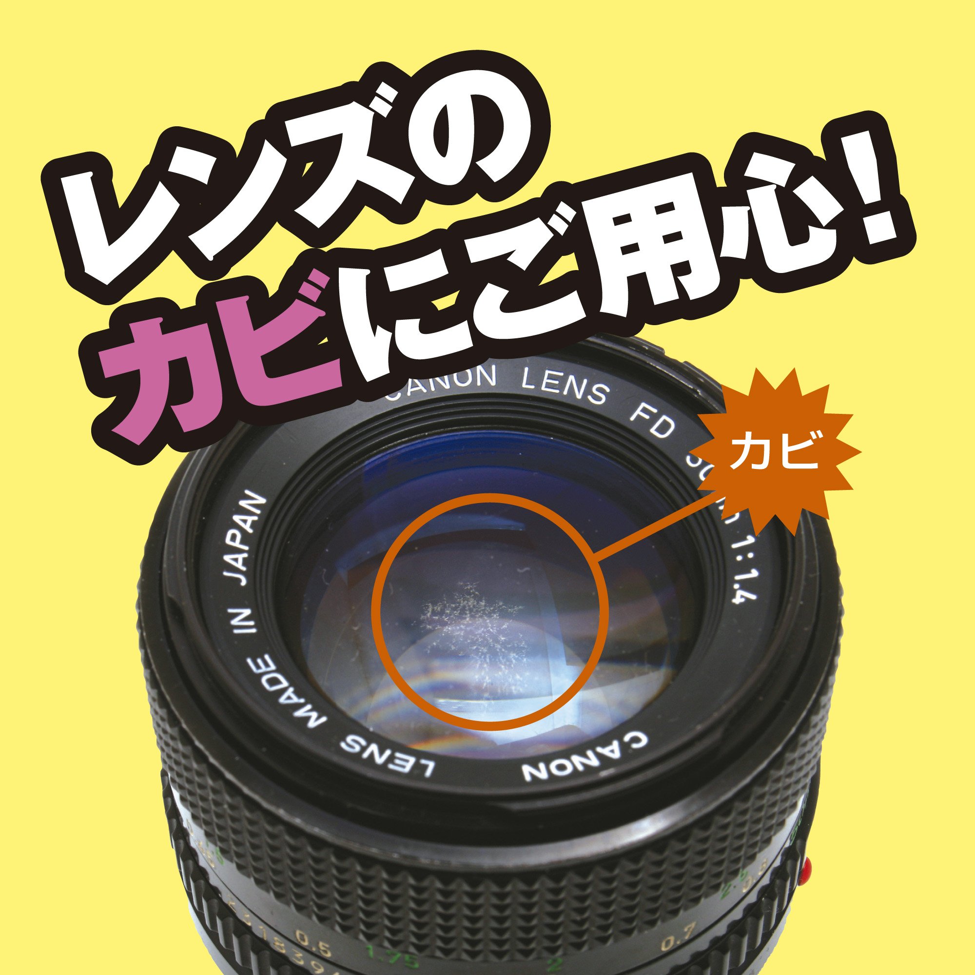 Amazon | HAKUBA ドライボックスNEO 5.5L スモーク + レンズ専用防カビ 