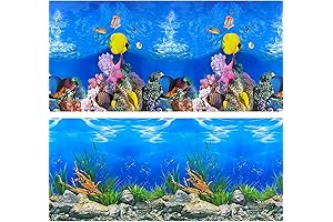 3D Fish Tank Backdrop with Realistic Water Plants and Coral Designs