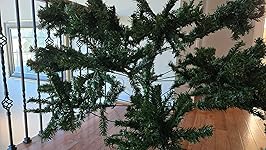 Review Image by Matthew Wilde Matthew Wilde