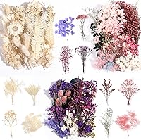 Comkrivy 100% Natural Dried Flowers Mixed Colors for Resin Crafts, Jewelry, Candles, Nail Art, Scrapbooking & Home Decor