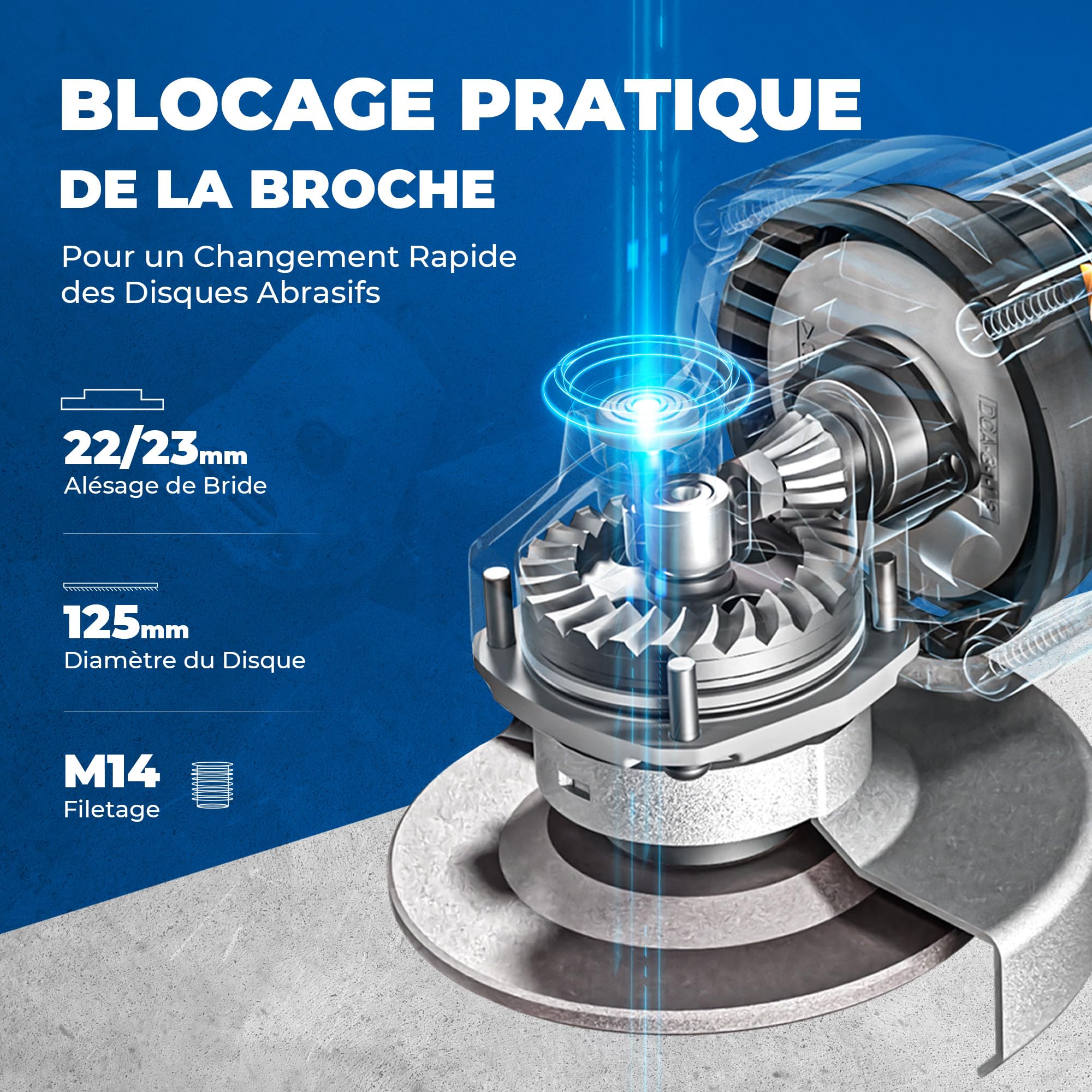 DongCheng Meuleuse d'Angle 800W, Ø125mm, 11800 tr/min, Capot Rapide, Poignée Auxiliaire, Inclut 2 Disques à Meuler, 2 à Lamelles et 2 de Coupe pour Polir et Découper