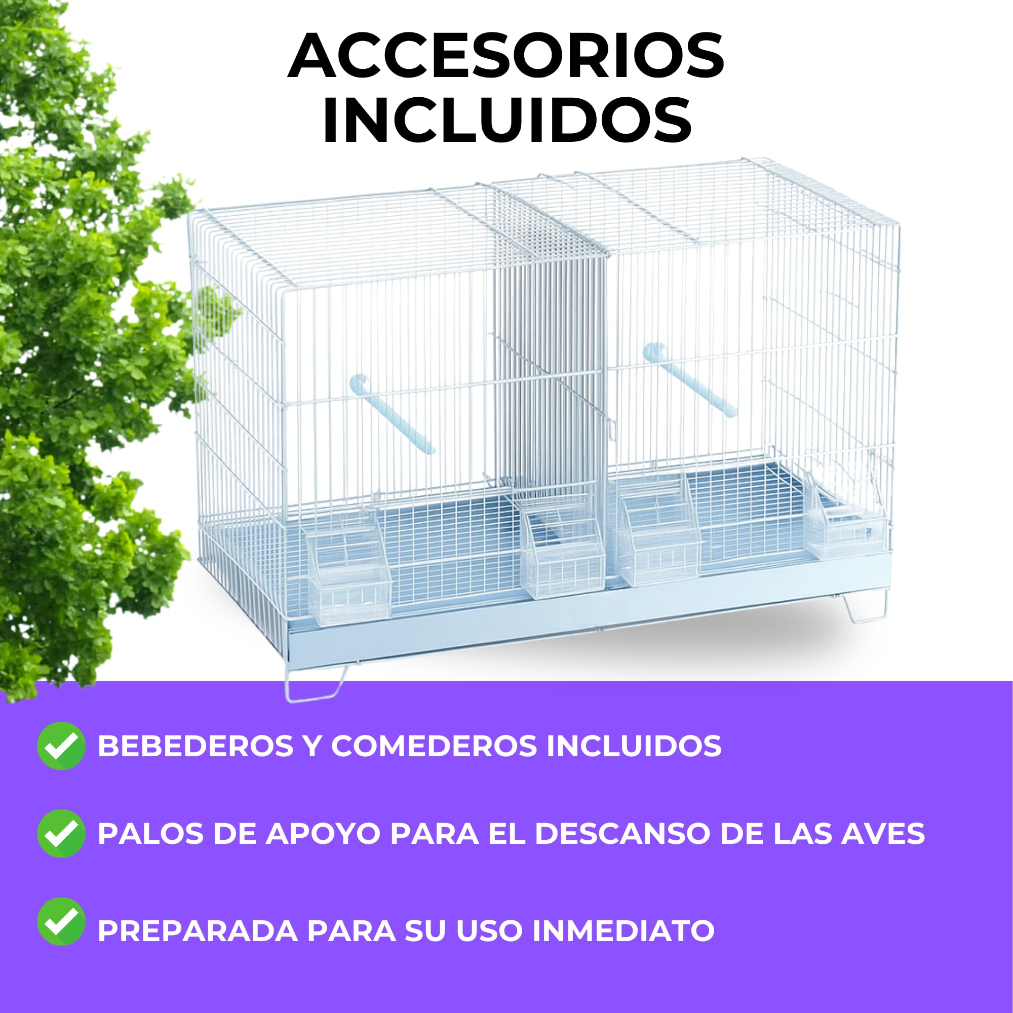 MOLY Jaulón de cría para pájaros 58 x 32 x 37 cm | Jaula Desmontable con Base elevada | Pajarera, Nido Ideal para reproducción y cría de Aves pequeñas