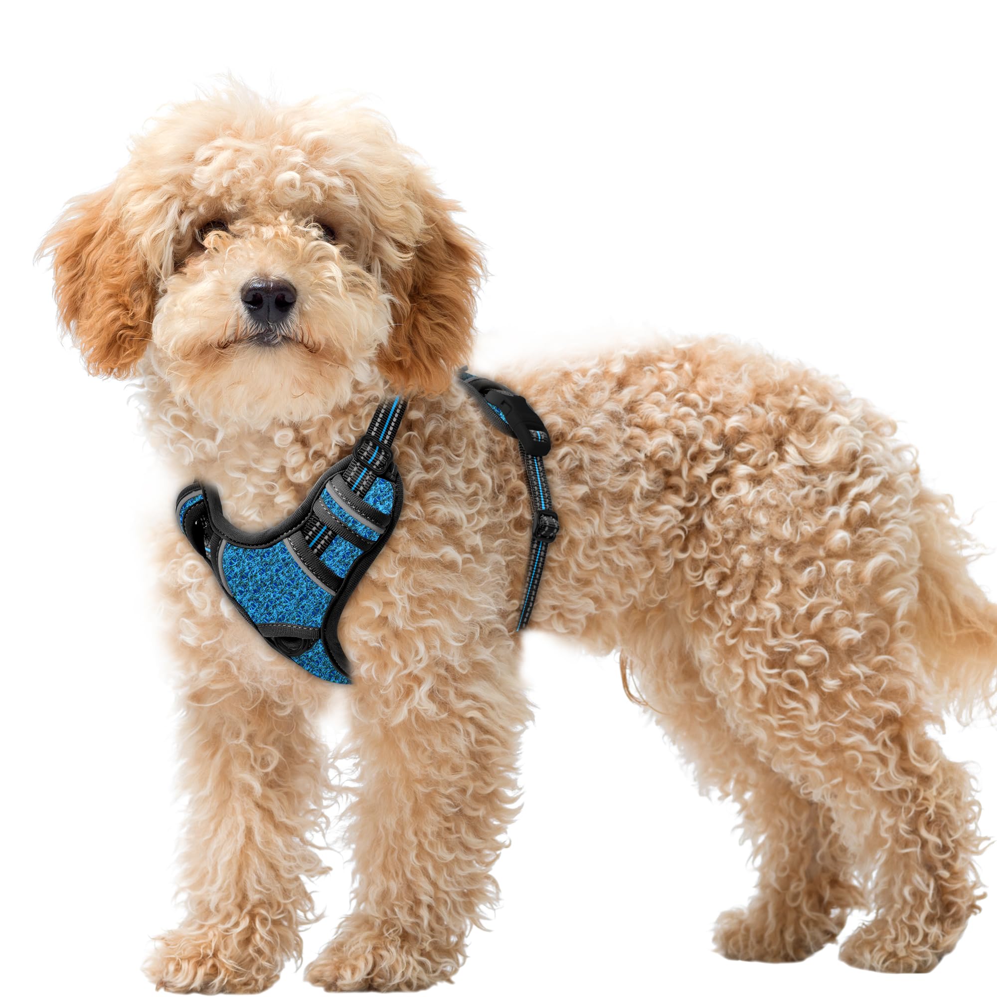 BARKBAY No Pull Dog Harness Large Reflective Dog Harness with Front Clip and Easy Control Handle for Walking Training Running with ID tag Pocket(Blue/Black,XS)