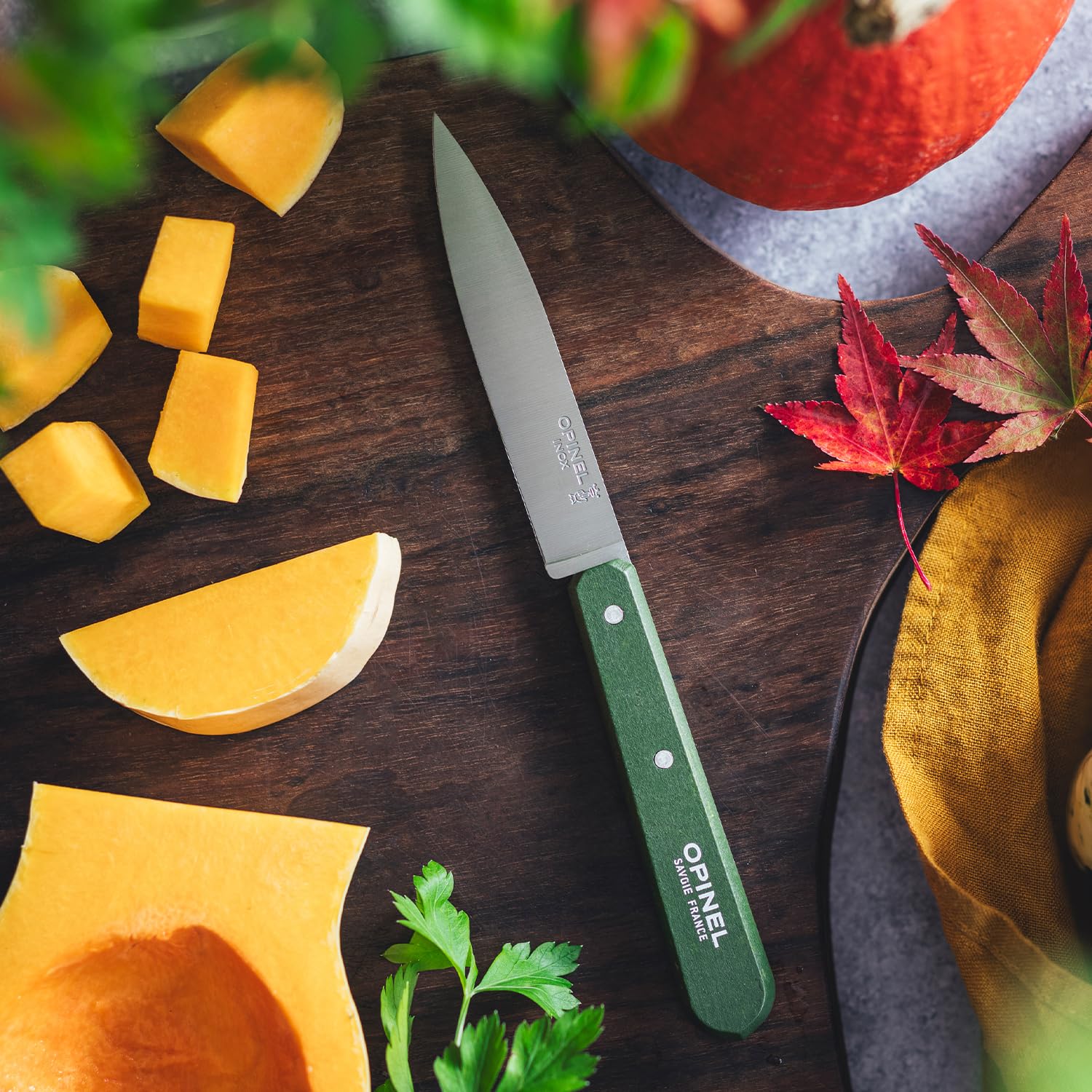 Opinel - Set mit 4 Gemüsemessern in Landschaftsfarbe N112. OPINEL