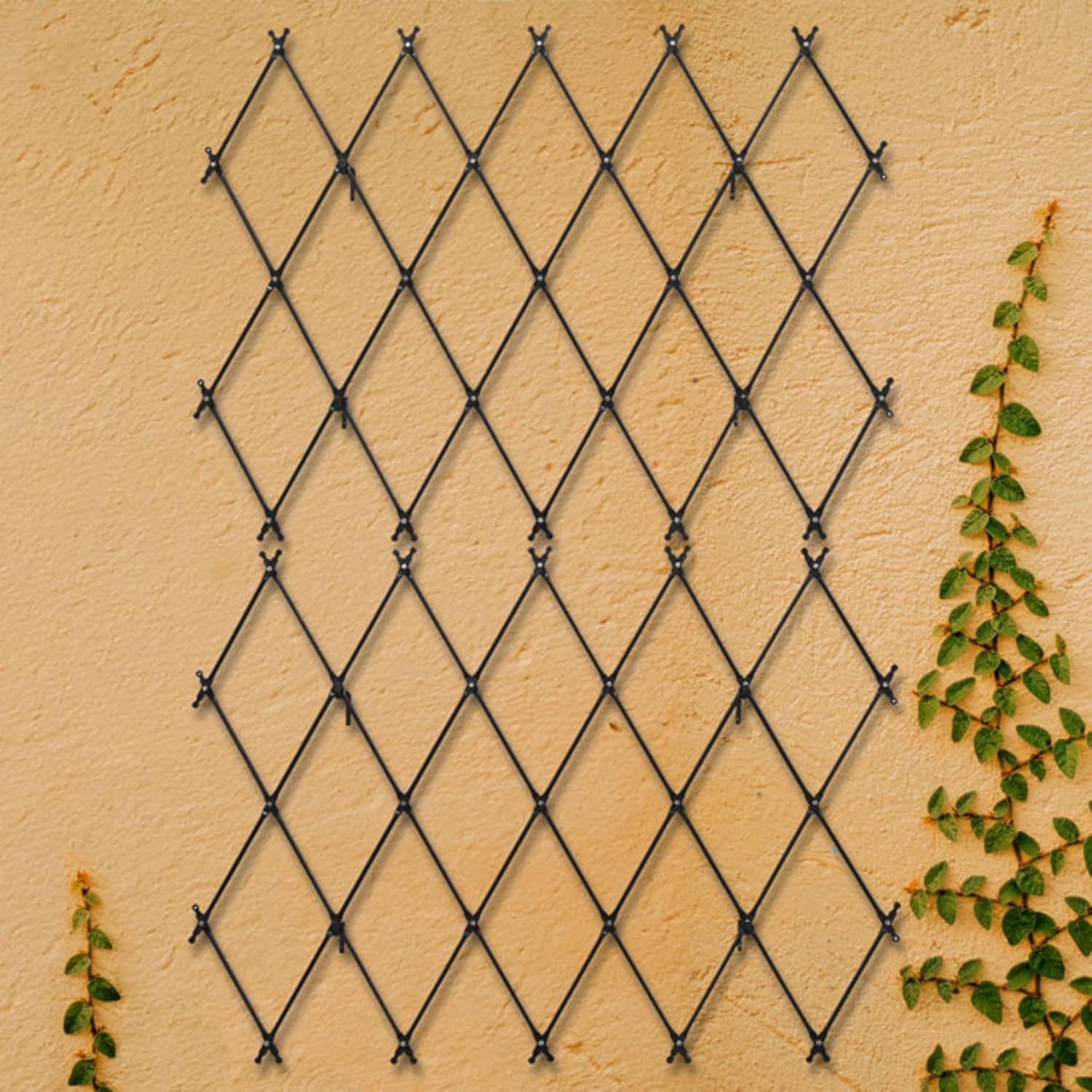 Achla Designs Wall Mounted Lattice Trellises – Set of 2 Expandable Wrought Iron Trellises, Graphite Finish – Wall-Mounted Garden Trellis Panels for Climbing Plants, Vines & Vegetables, Indoor/Outdoor