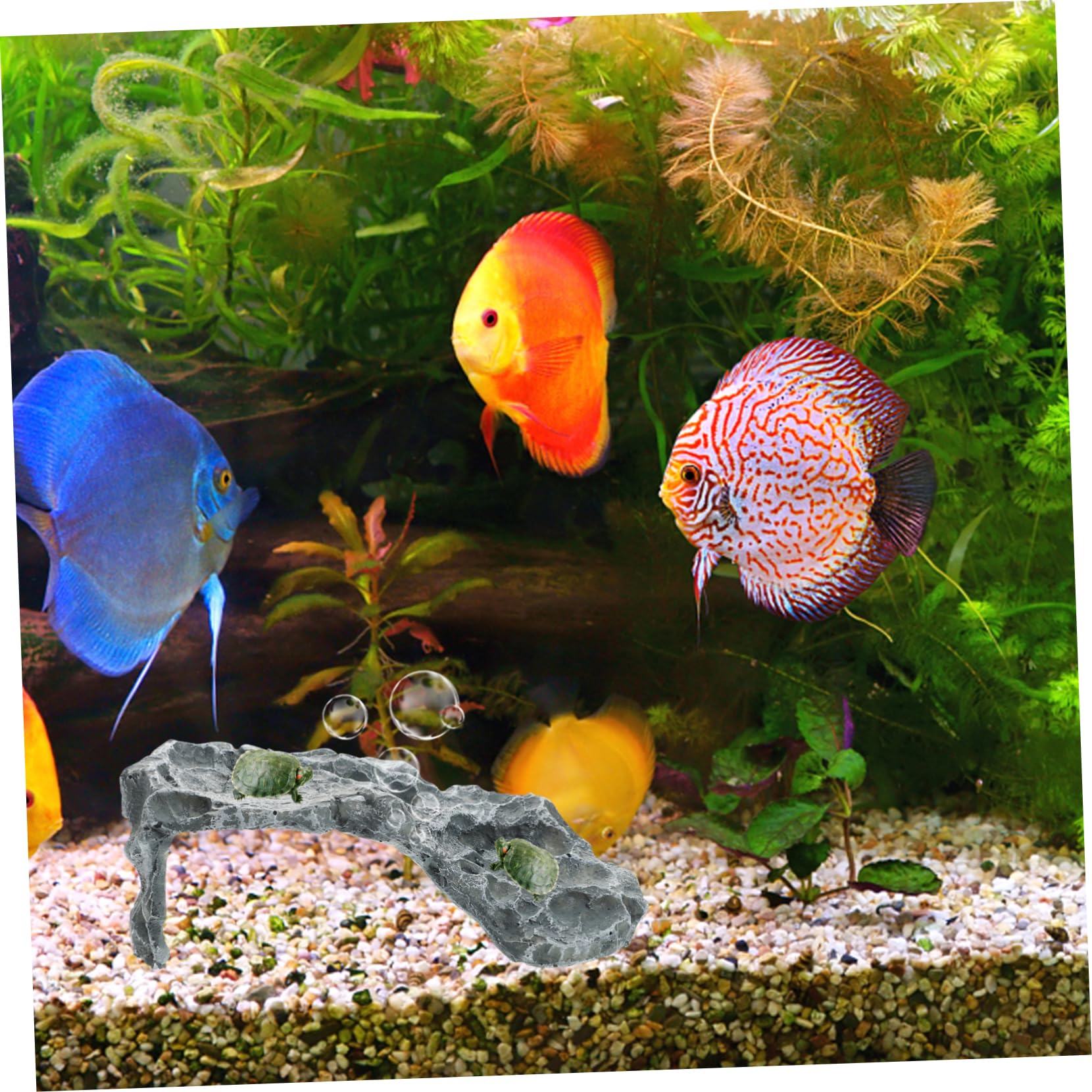 Toyvian Piattaforma di Basking in Resina per Tartarughe Acquatiche, Nascondiglio Naturale per Tartarughe di Terra, Riparo con Aspetto Pietra
